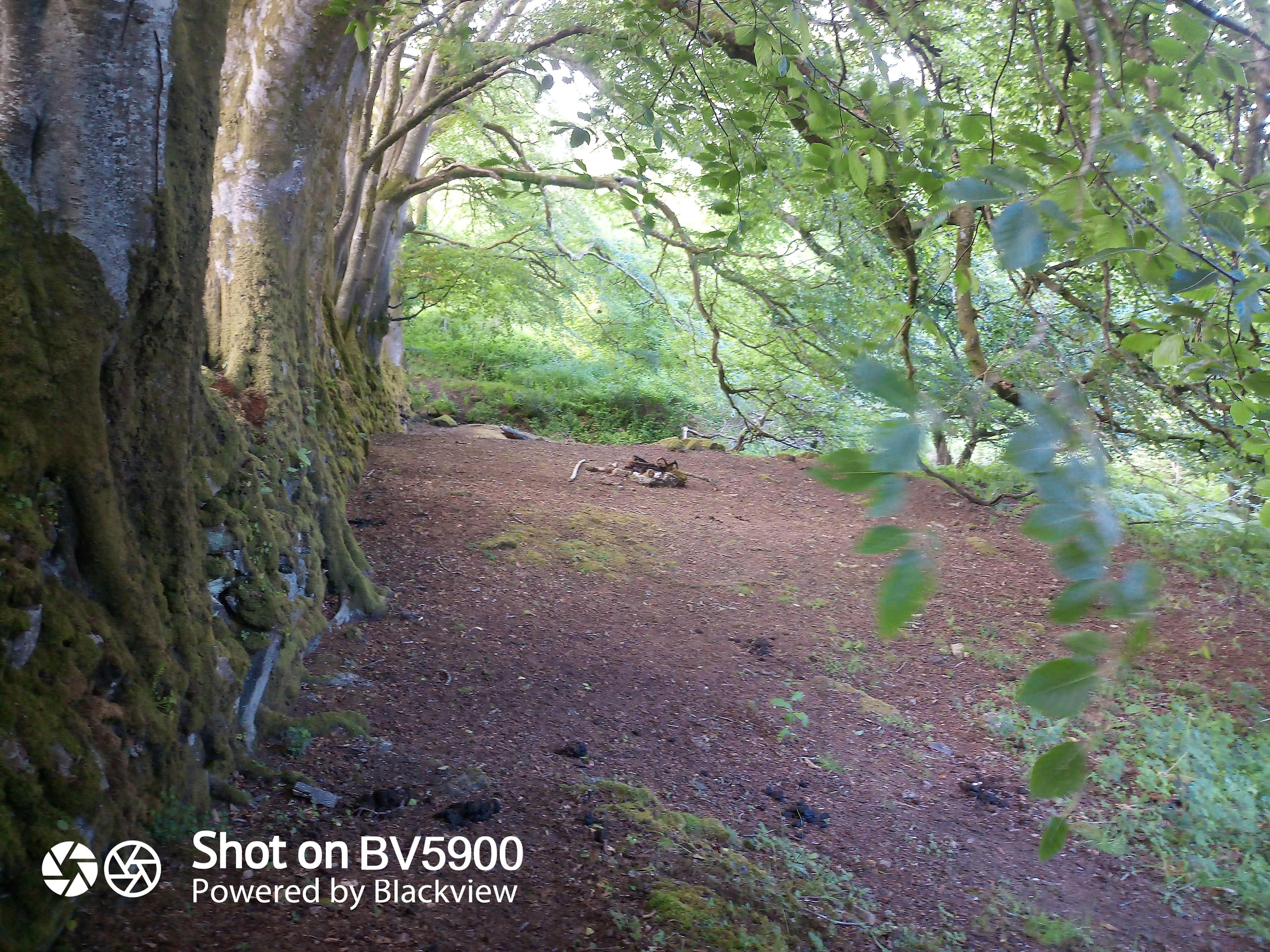 Meldon Lake and Woods Wild Camping