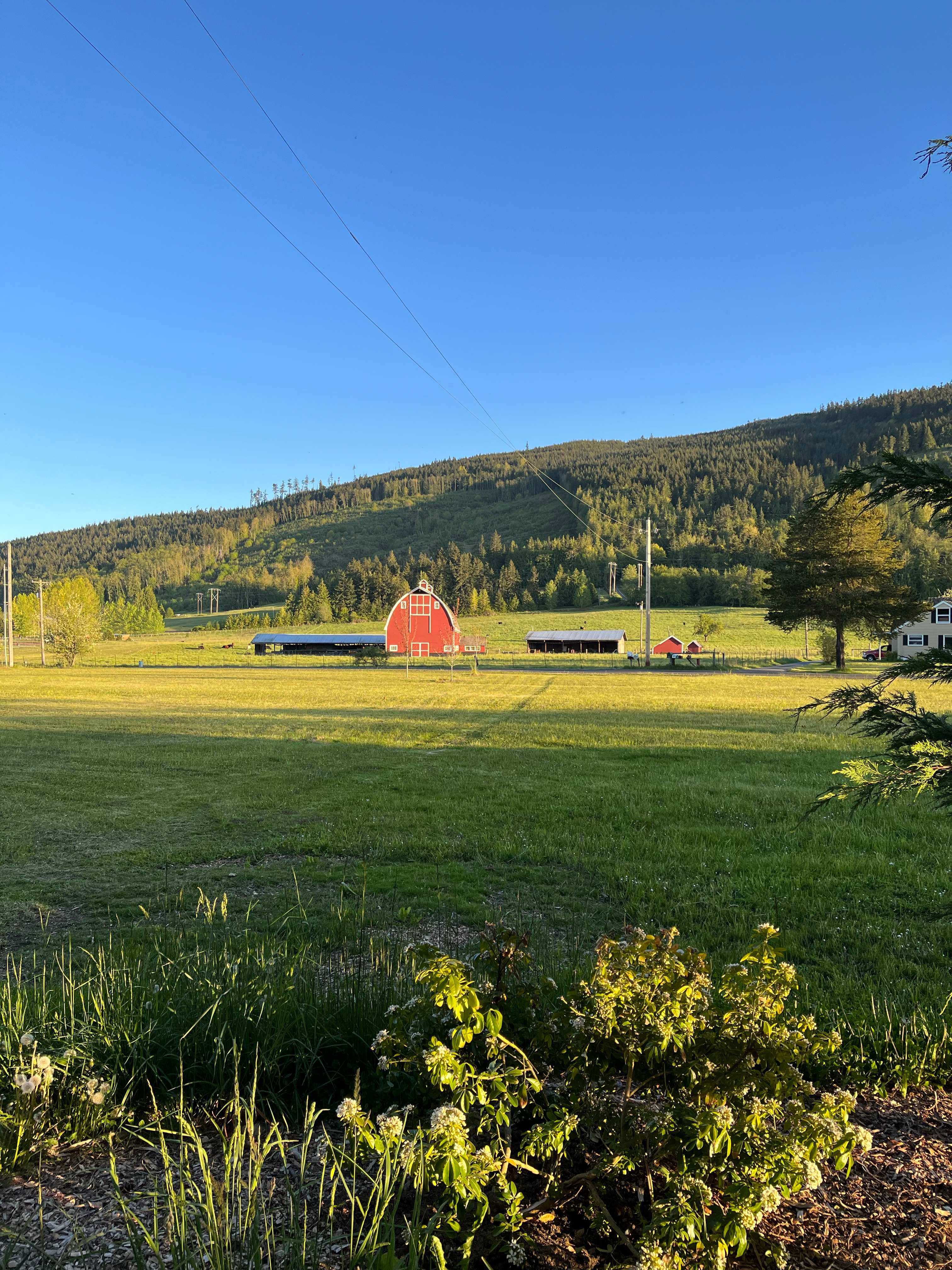 Red Barn View