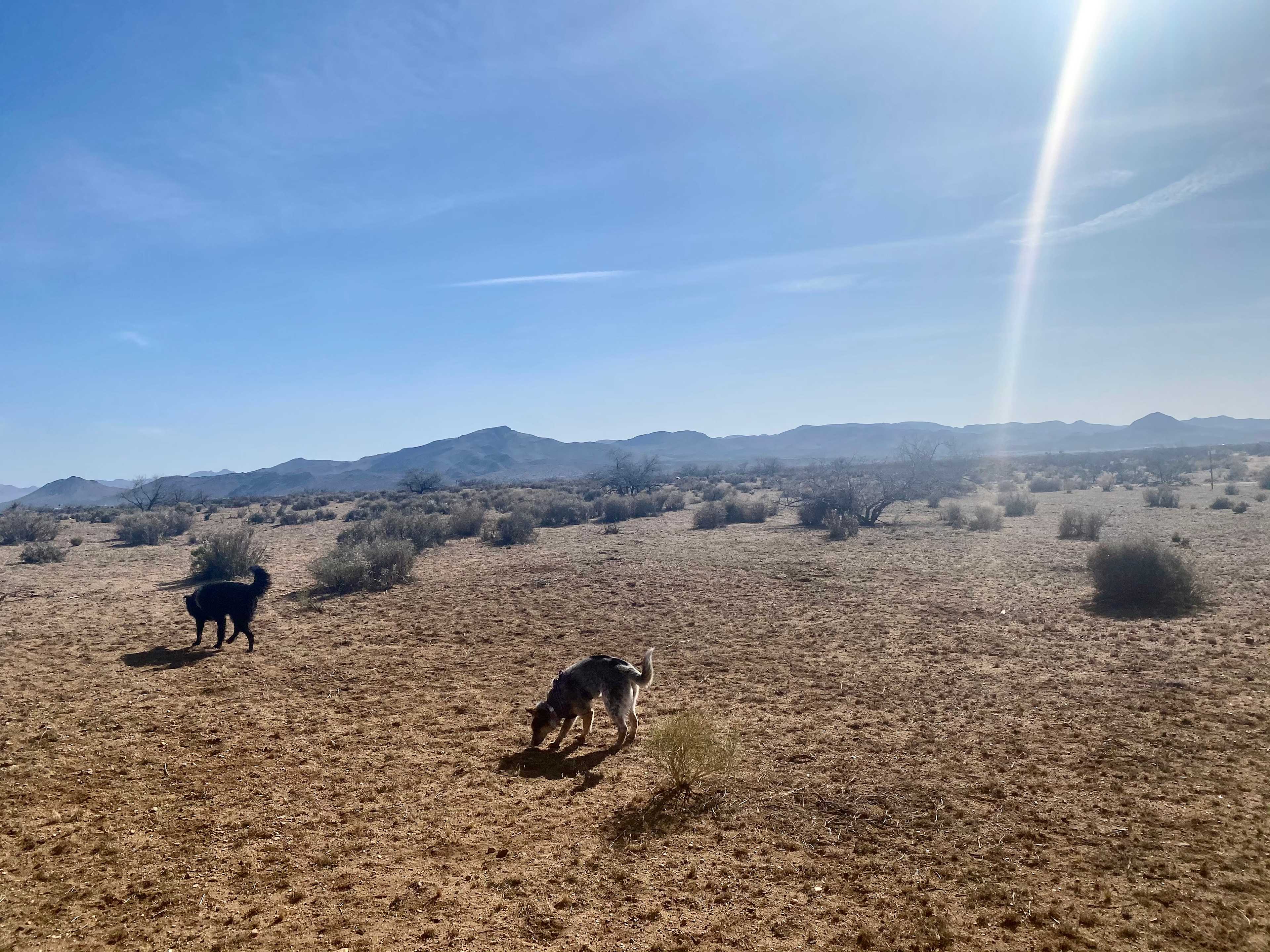 Rollo Ranch