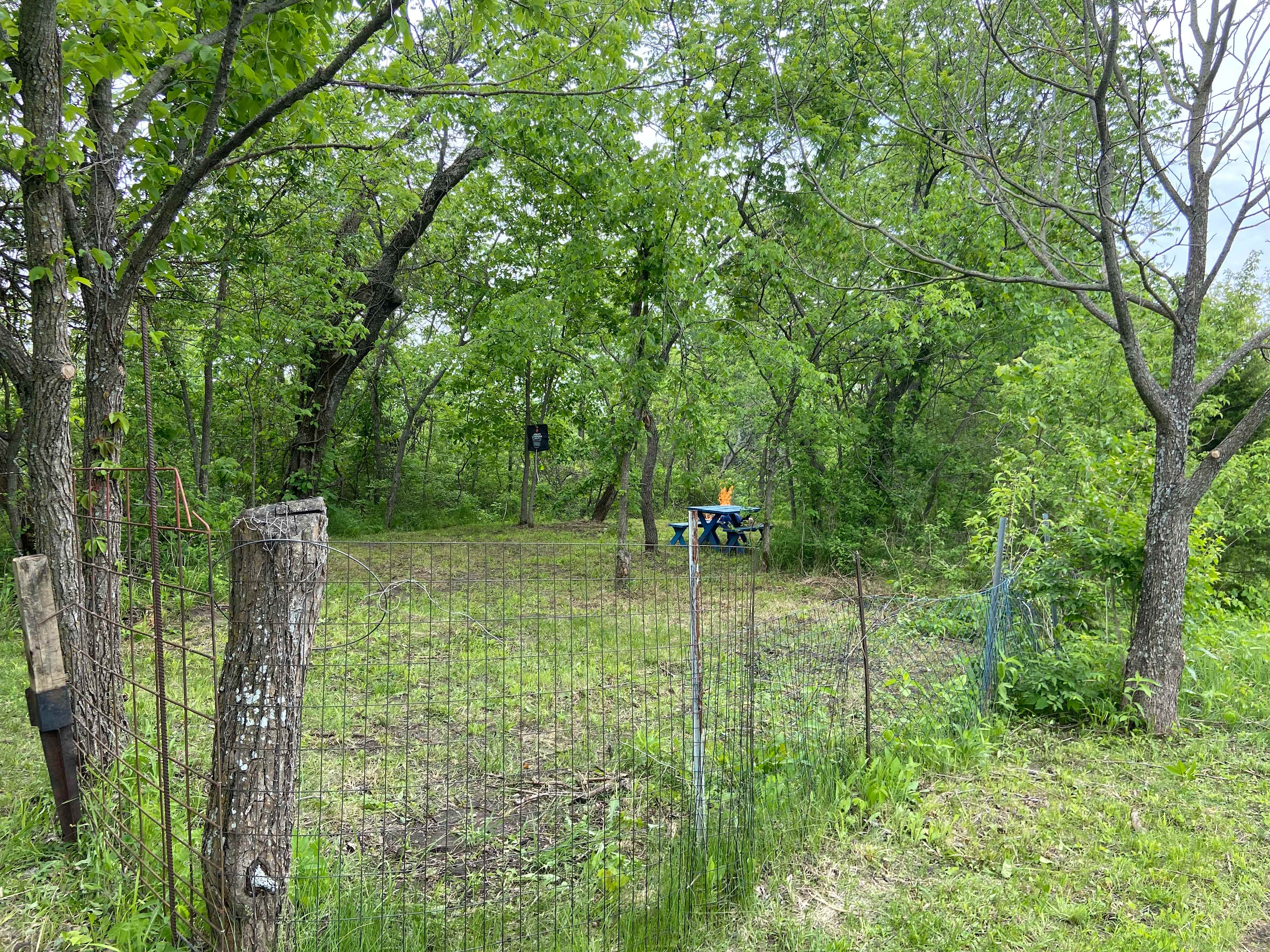 Picture of the site