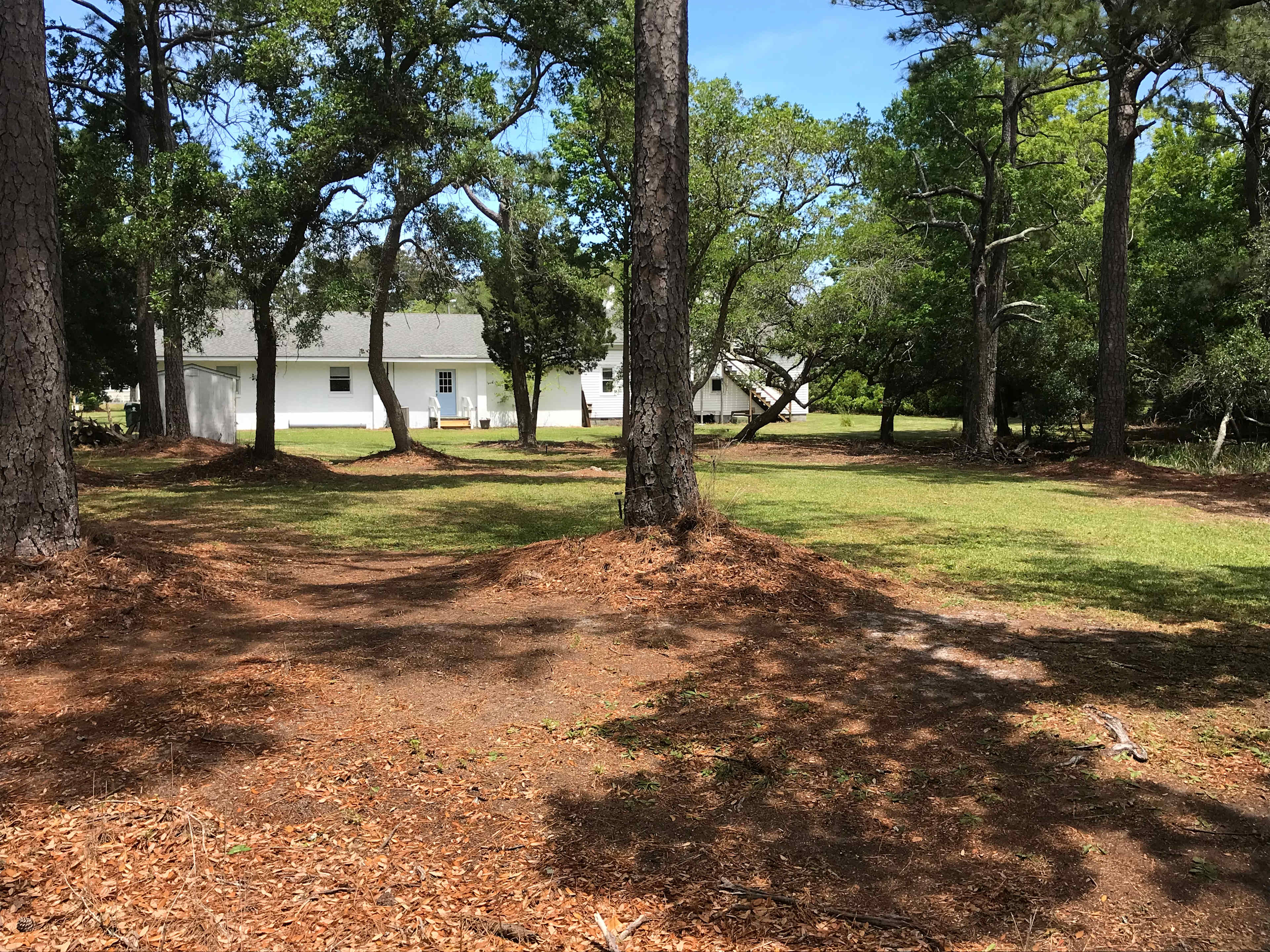 The Crystal Coast Preserve!