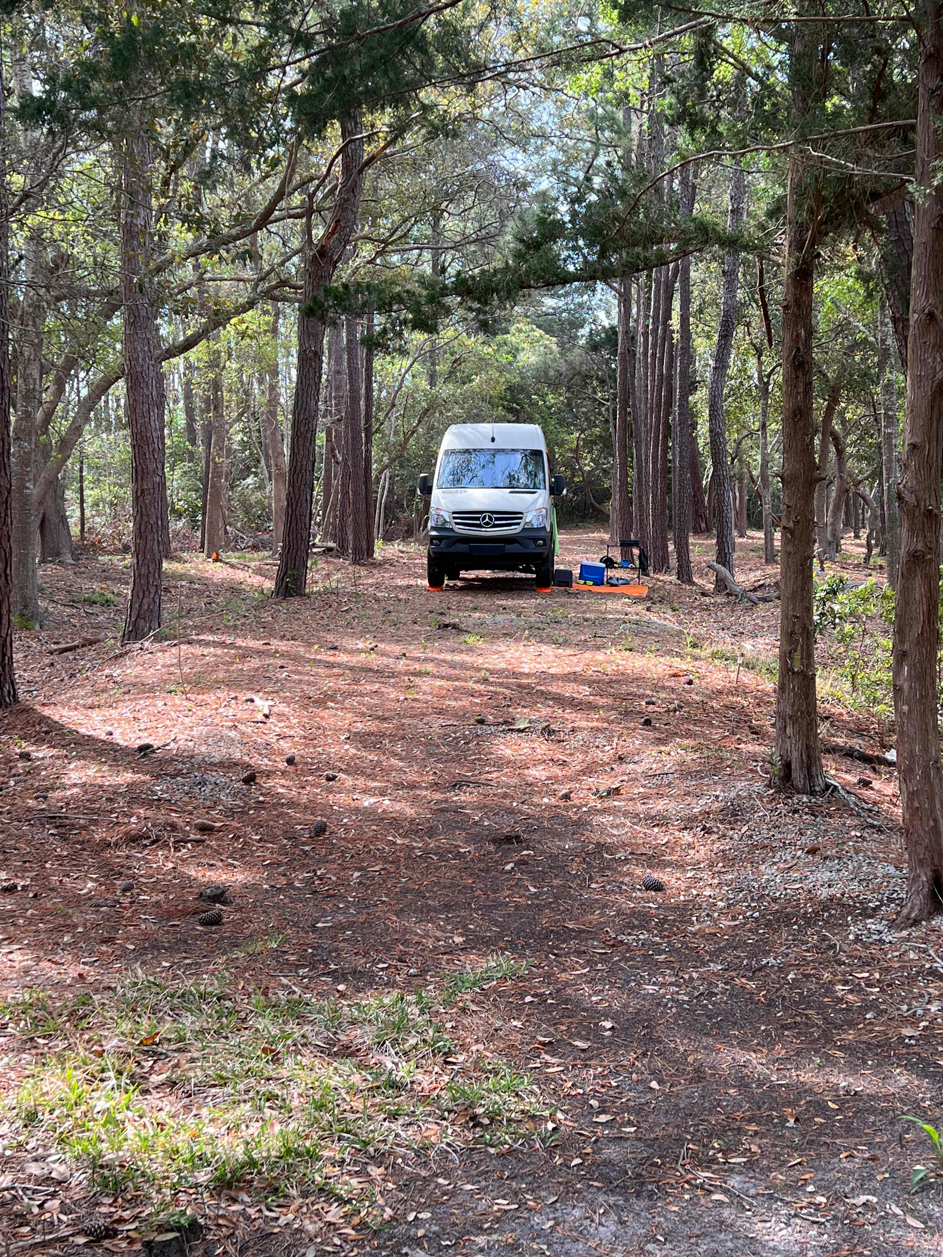 The Crystal Coast Preserve!