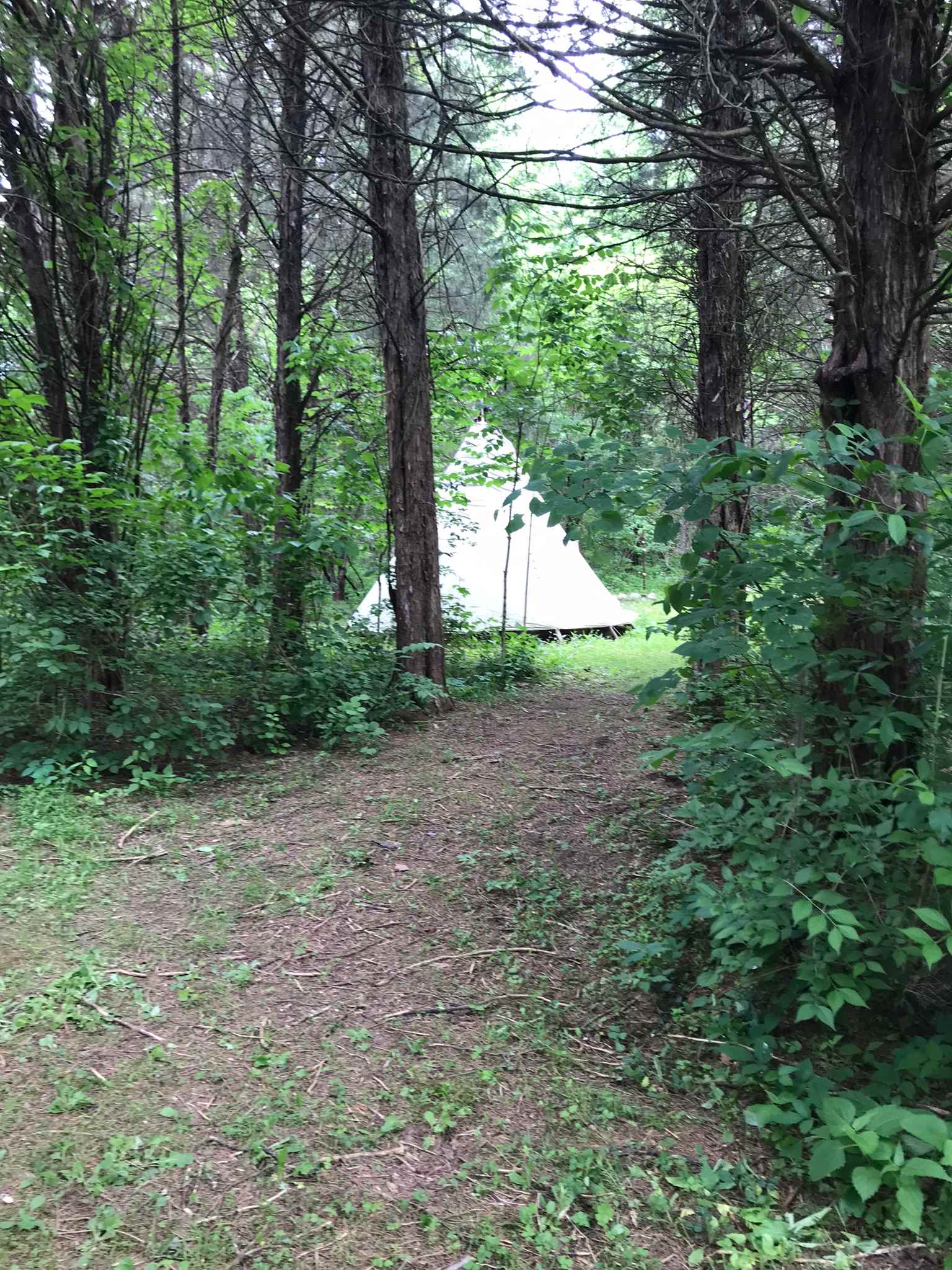 Picture of the site