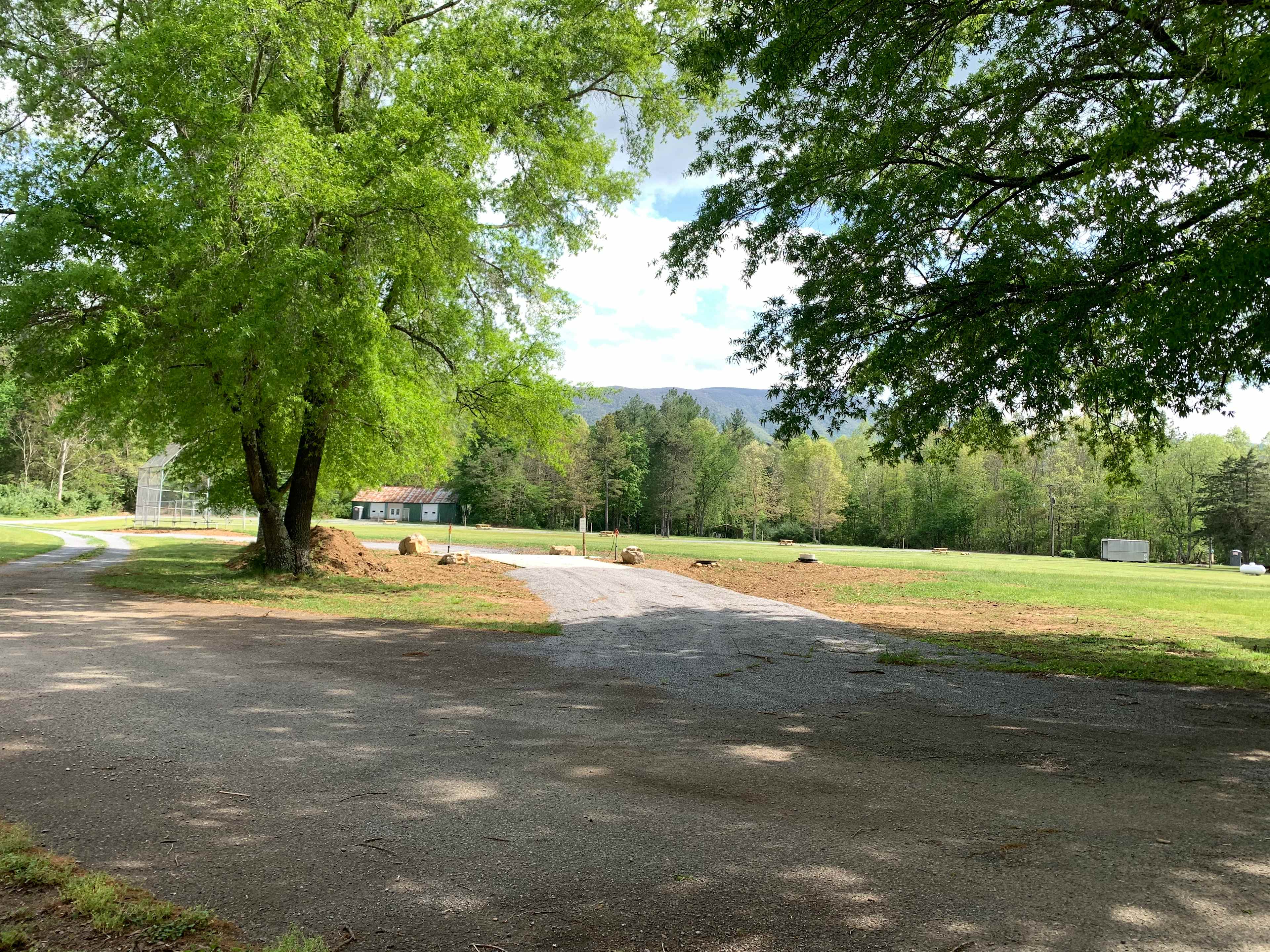 Picture of the site
