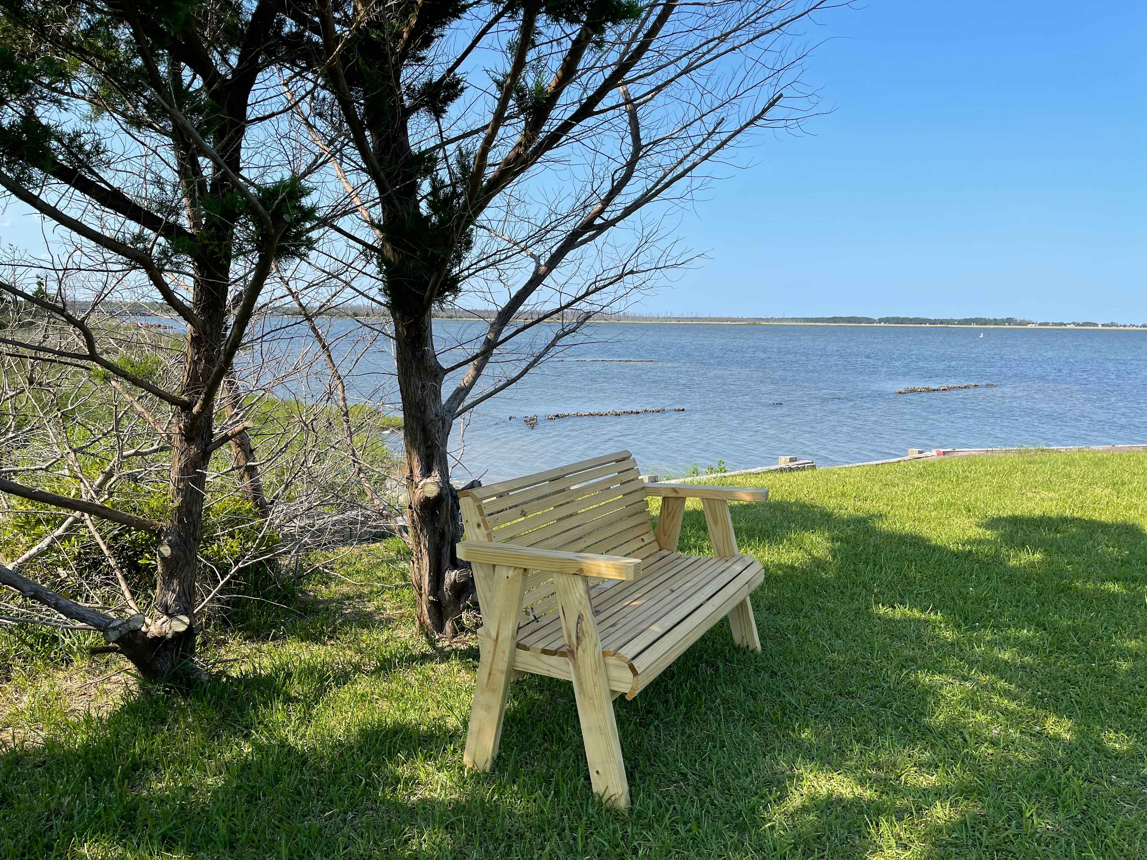 Escape near Cape Lookout