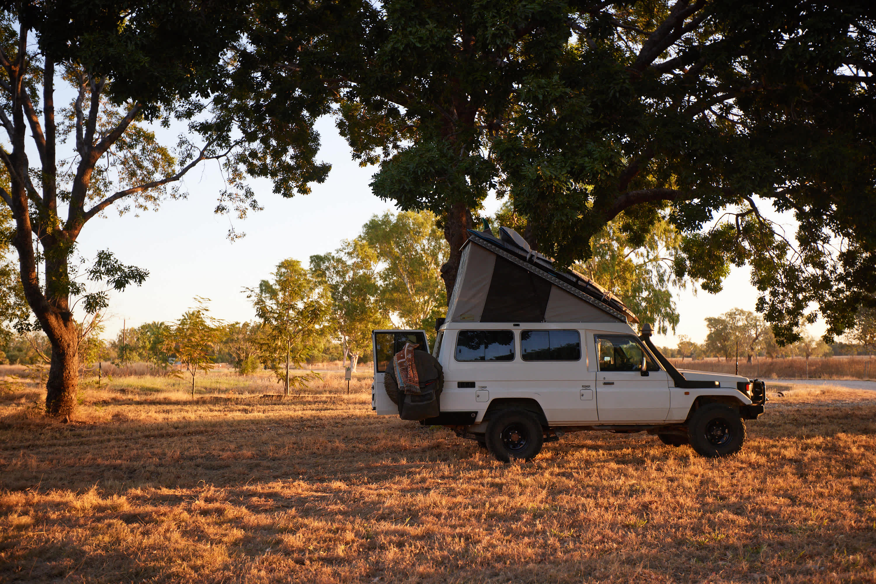 under tree campground