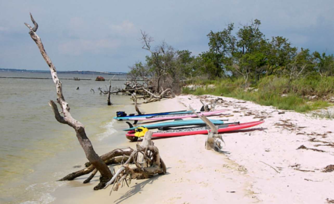 Across the street very popular canoe and kayaking on the Sound