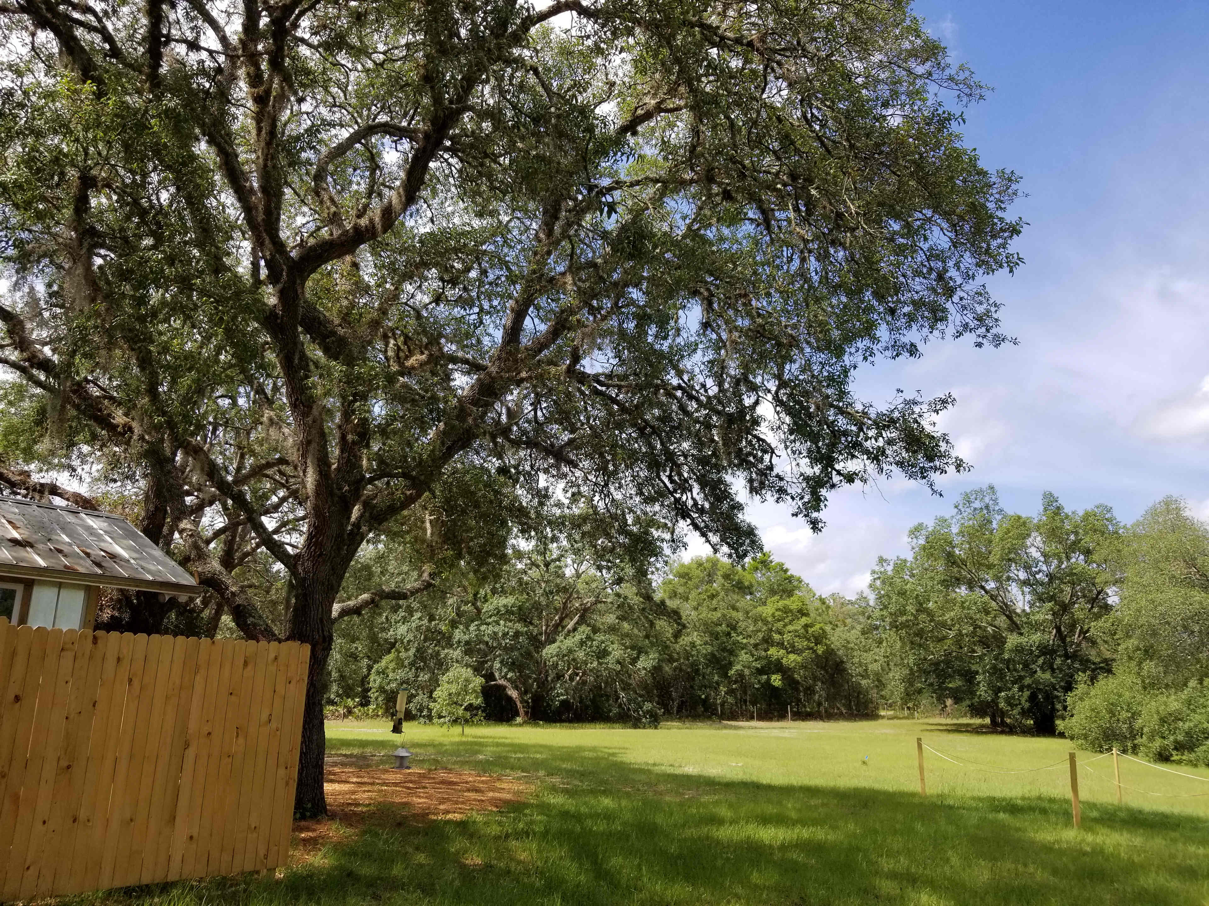 Whispering Oaks