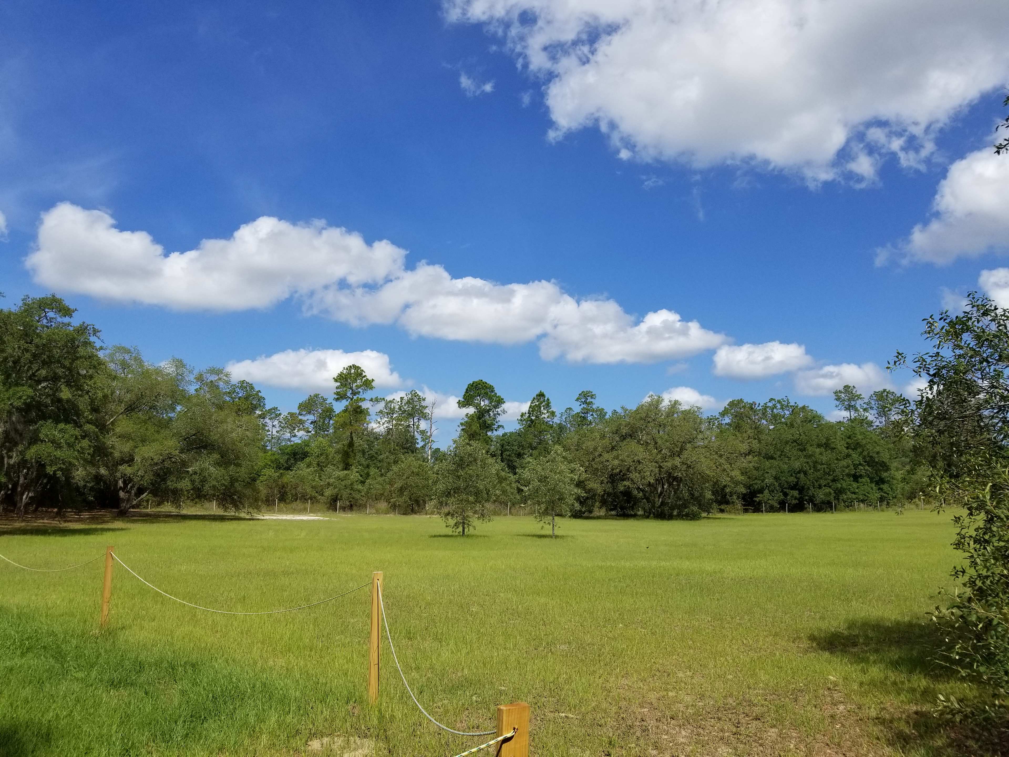 Whispering Oaks