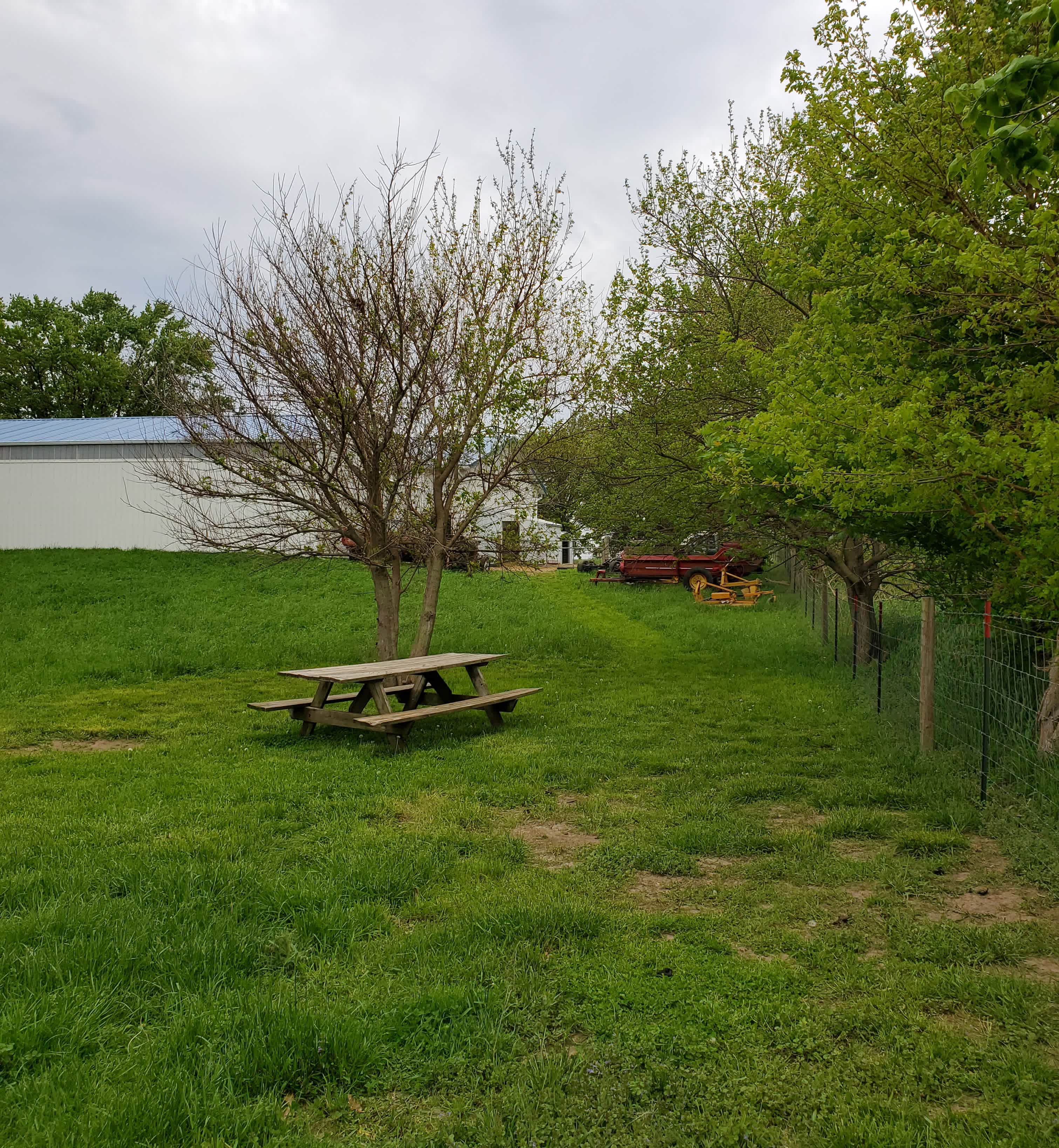 Picture of the site