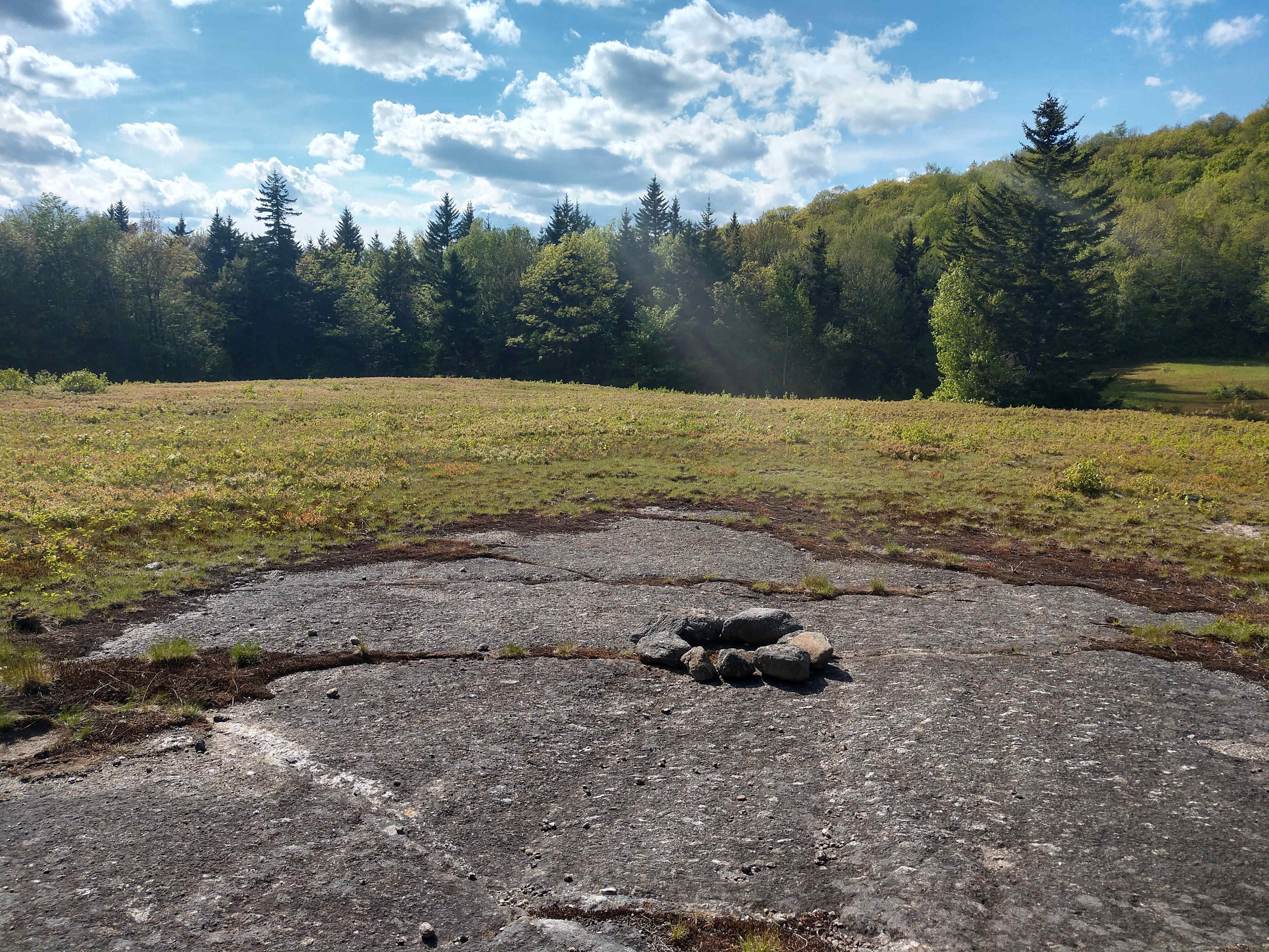 Enjoy the field and woods! We have rebuilt the fire pit since this photo.