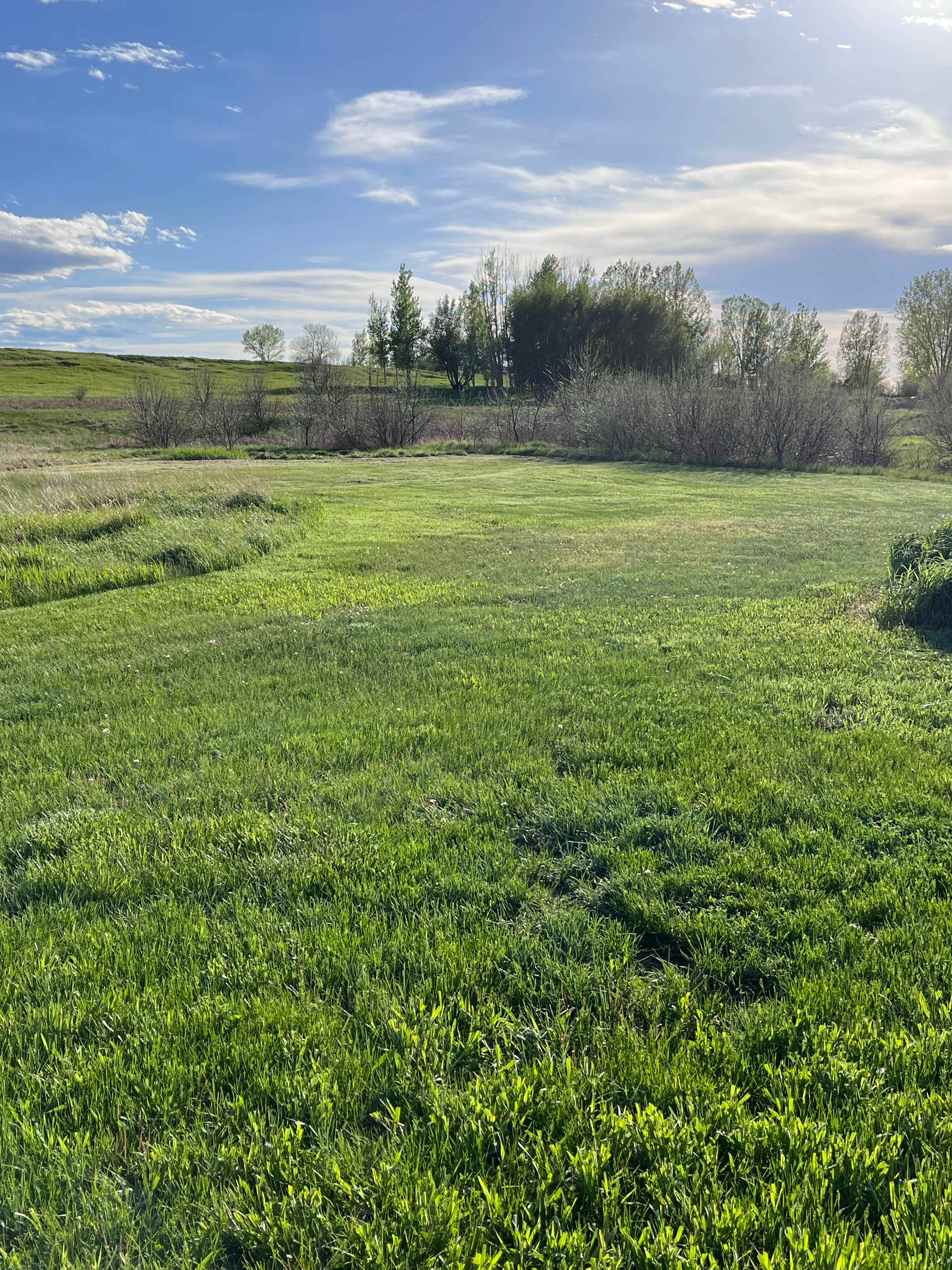 Creekside Camp at Prairie Skies