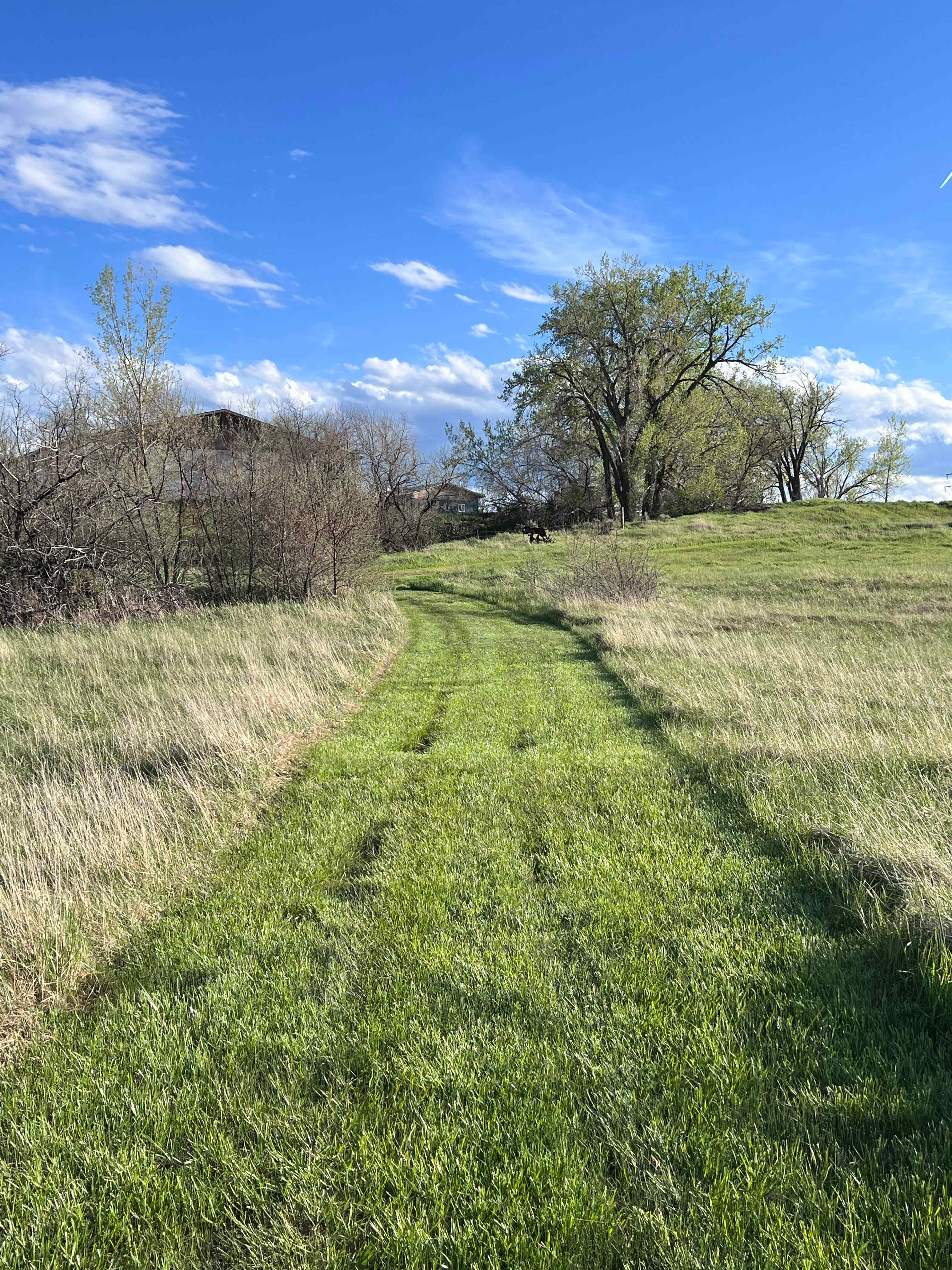 Creekside Camp at Prairie Skies