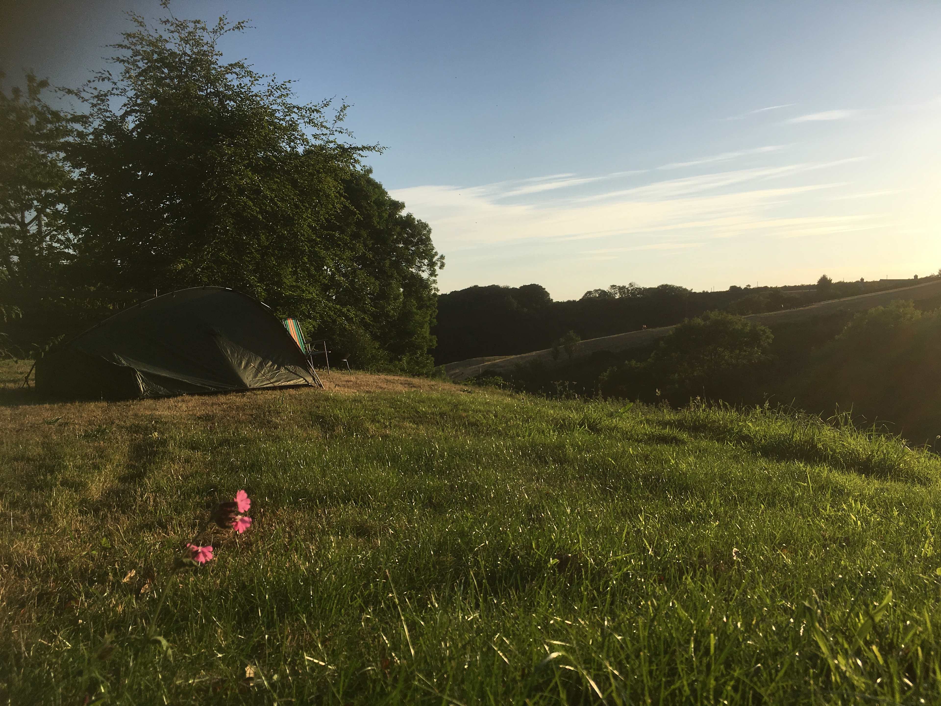 Sun of a Pitch 
Overlooking the valley - suitable for medium size tents or 2 smaller tents (5m wide max)