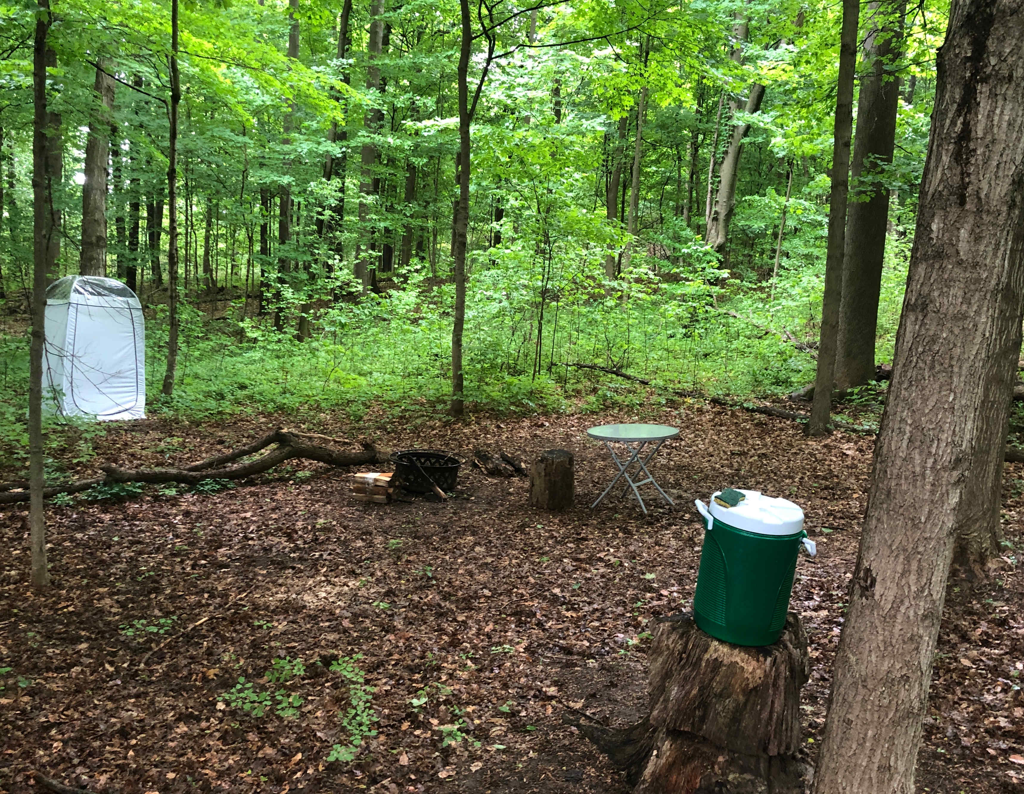 Deep Forest Campsite comes with a fire pit and free bundle of wood, a table, five gallons of water and a privacy tent.  In the privacy tent there is a first aid kit, cleaning spray, a composting toilet and a tub with dirt for covering your waste. 