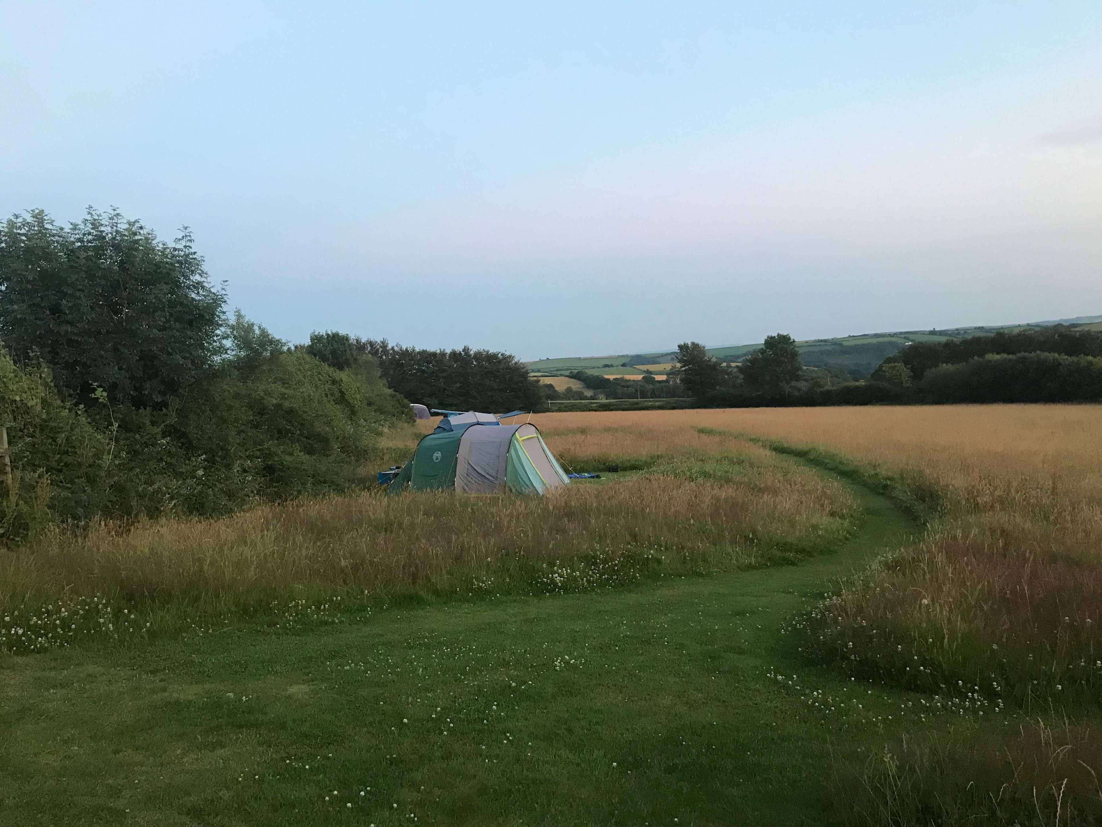 South Town Farm