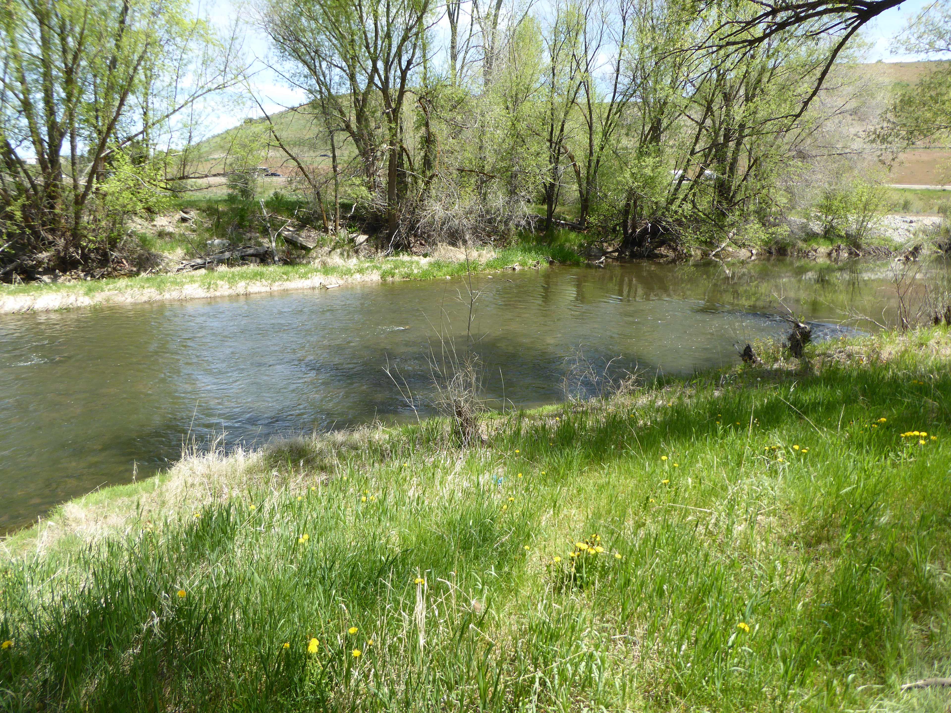 Weber River for fishing and swimming