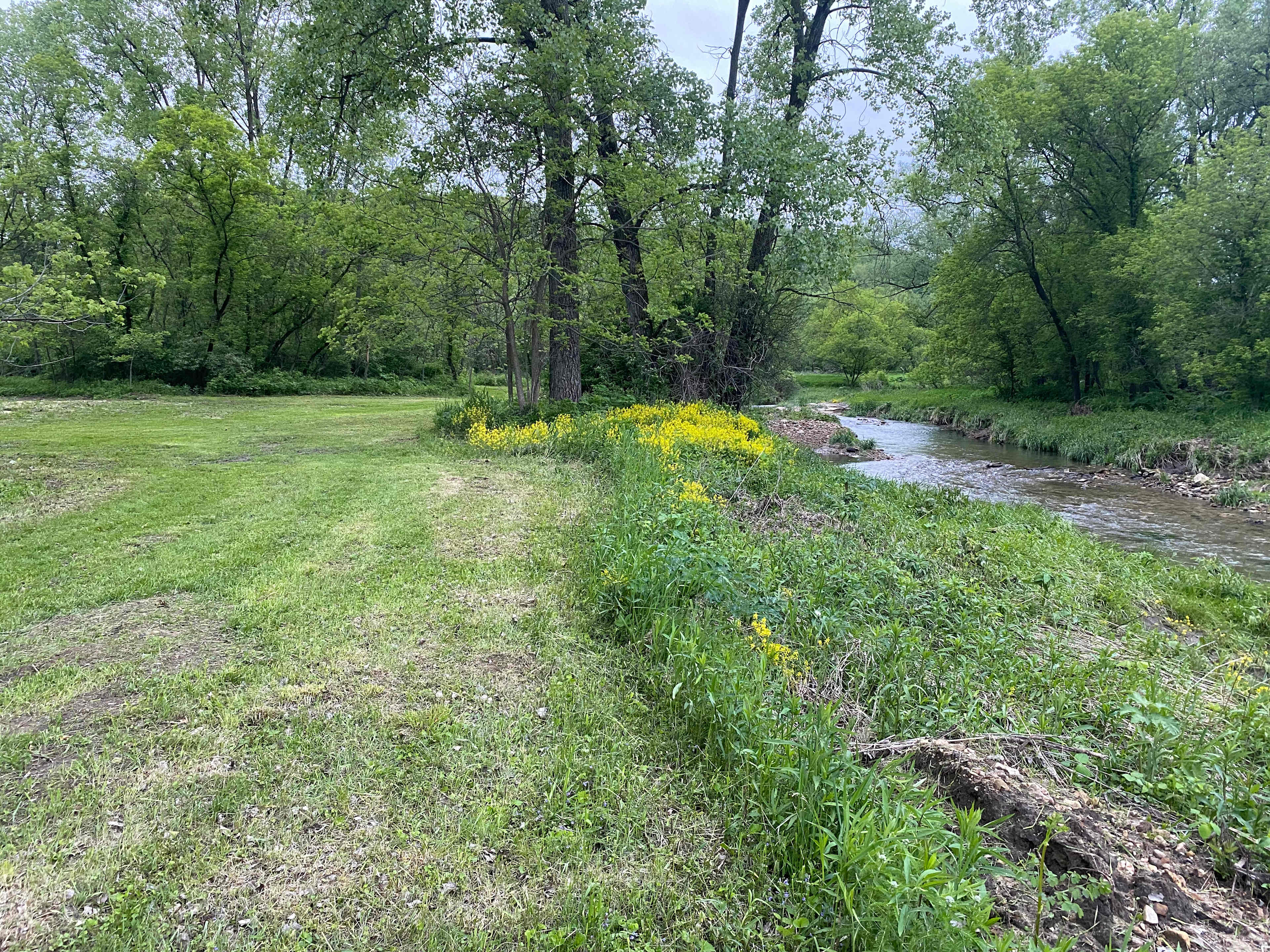 New Hartford trout camp