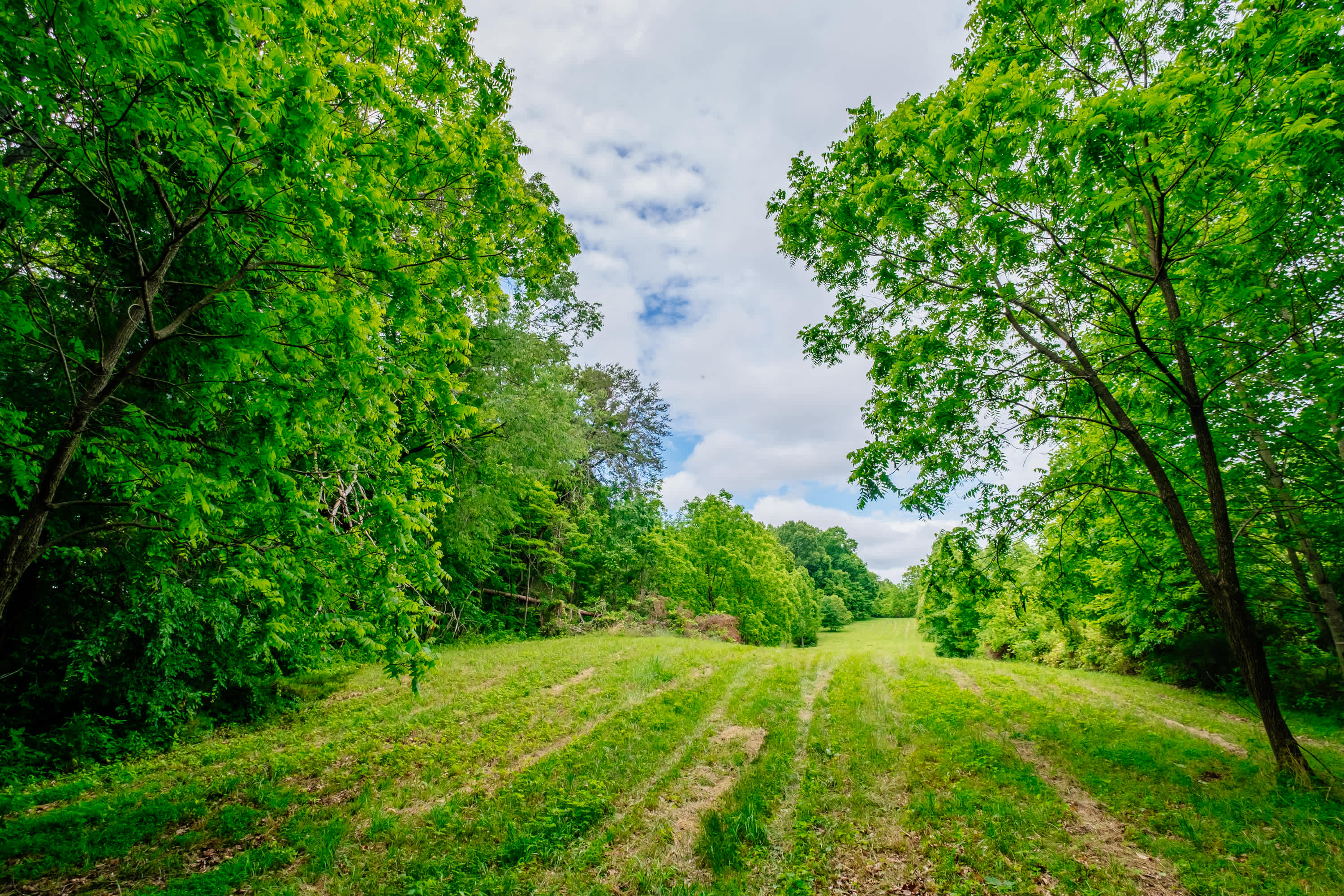 Large field