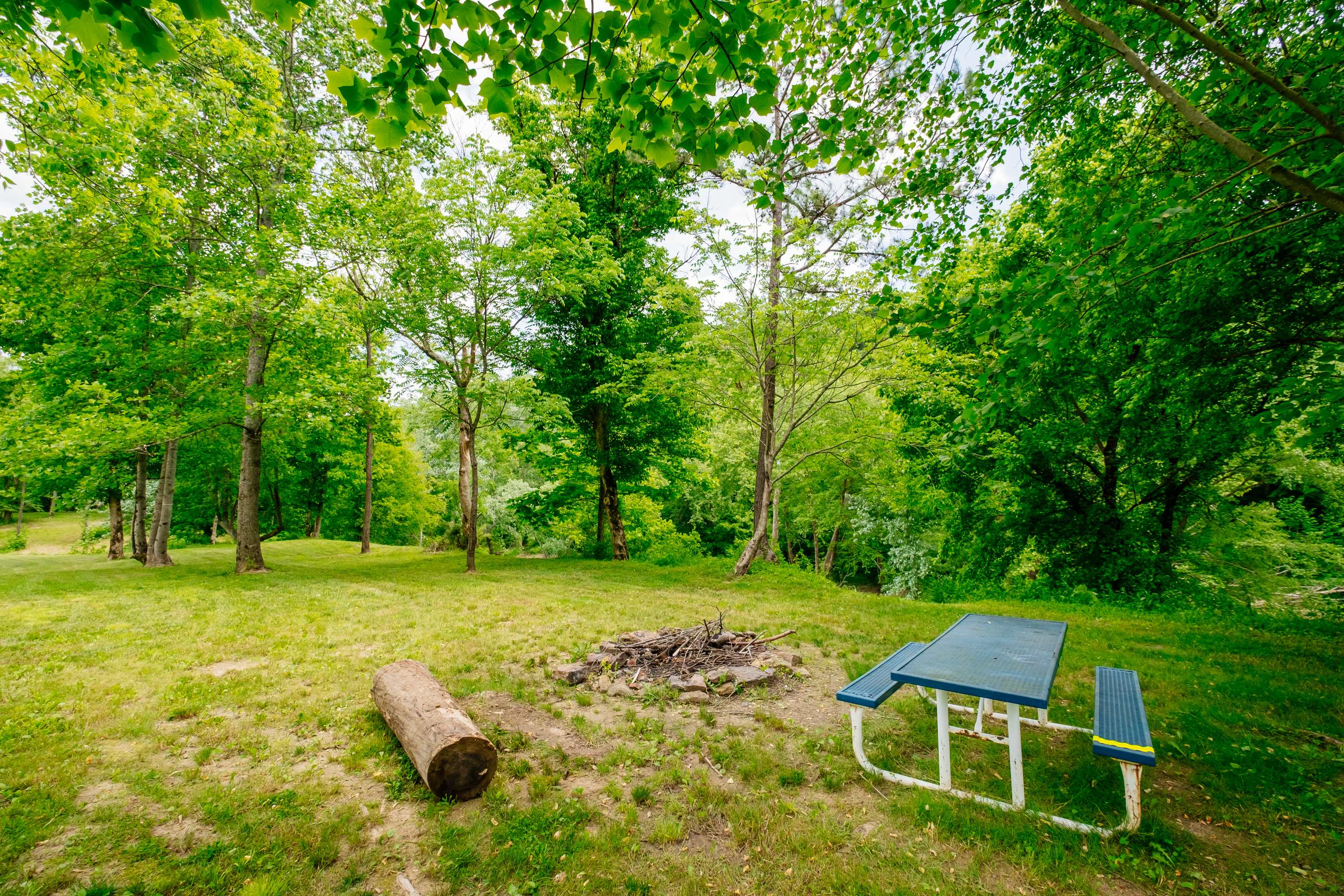 Large group firepit