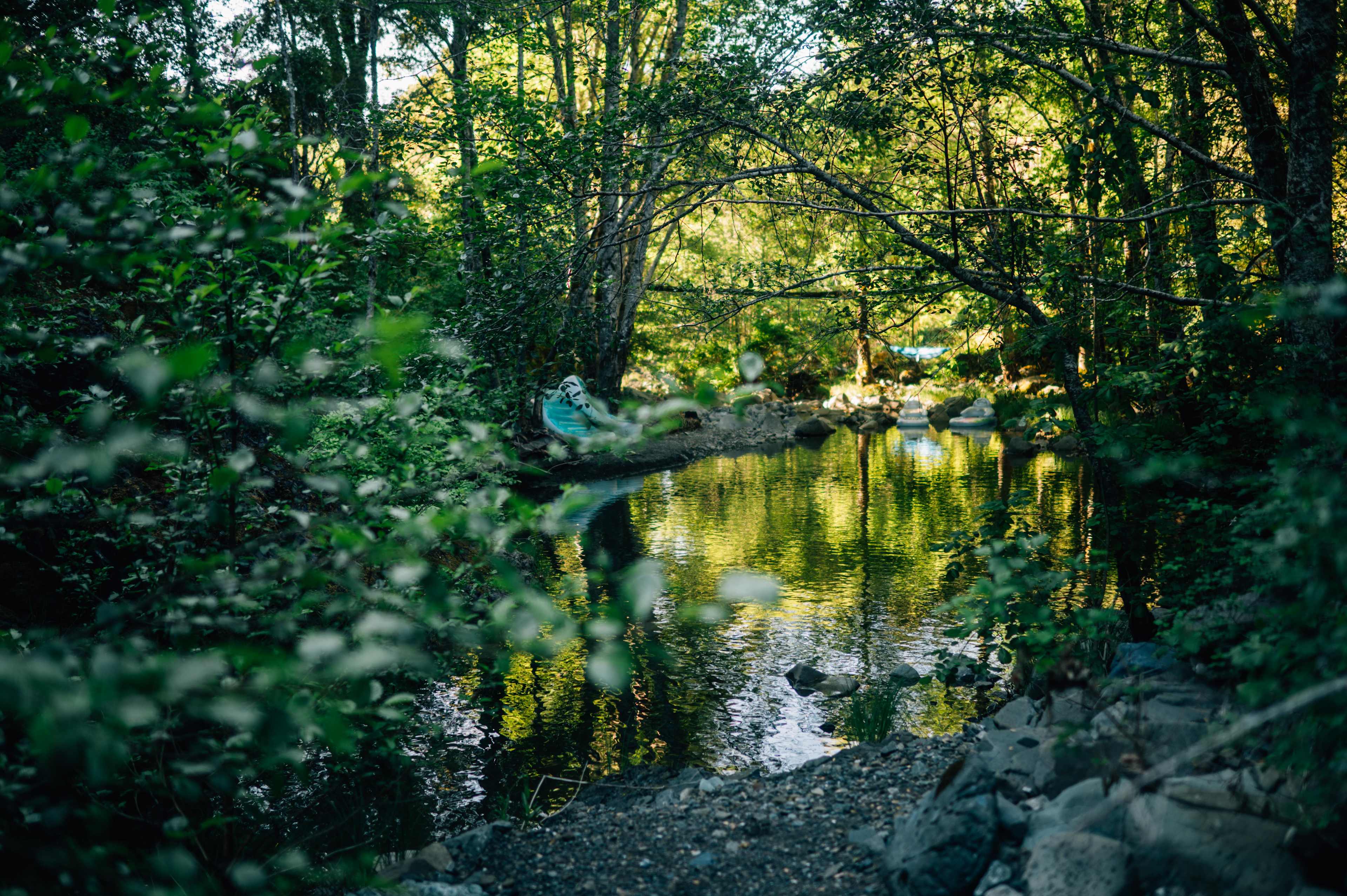 Creekside!