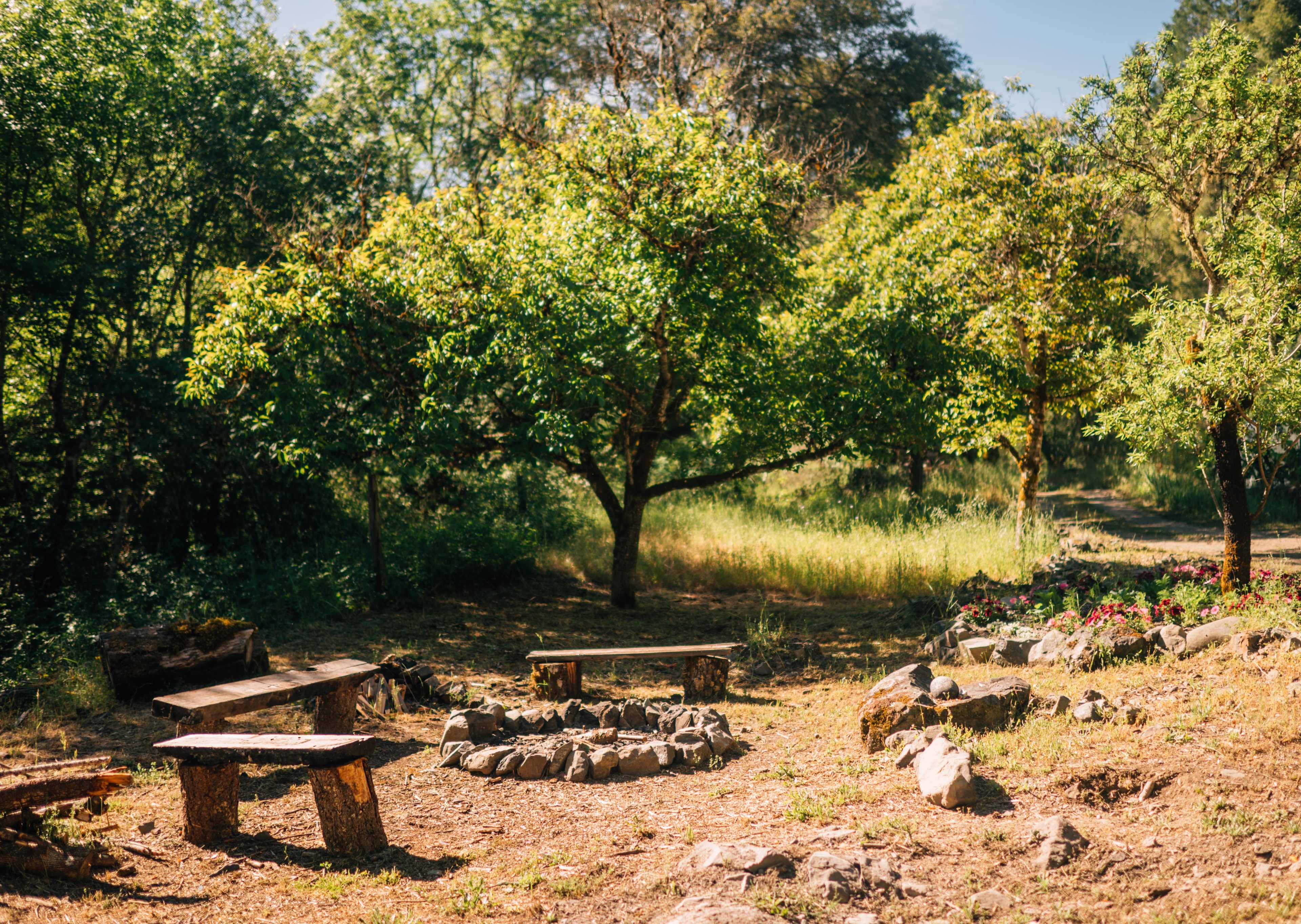 Campfire spot