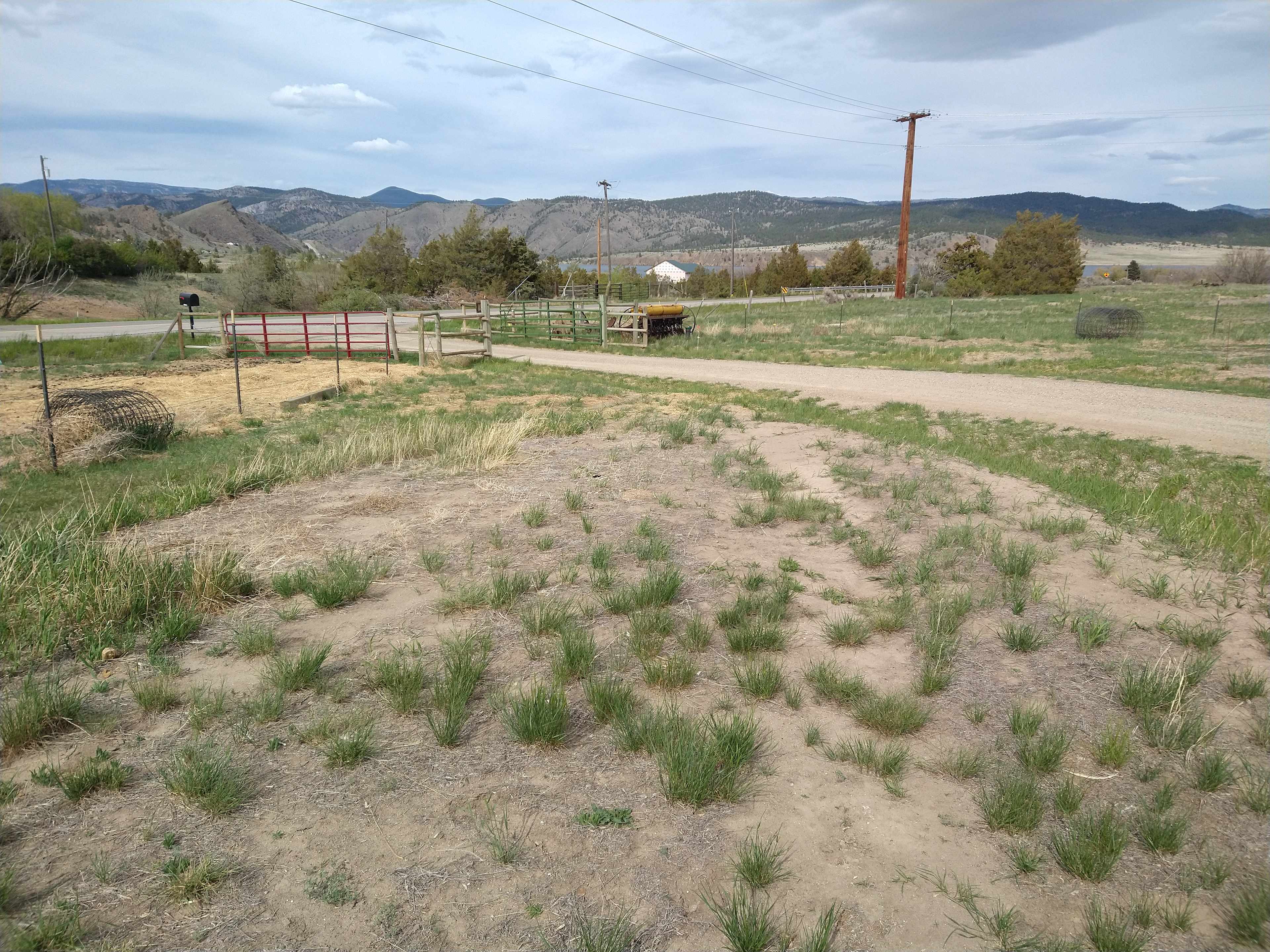 Site 1