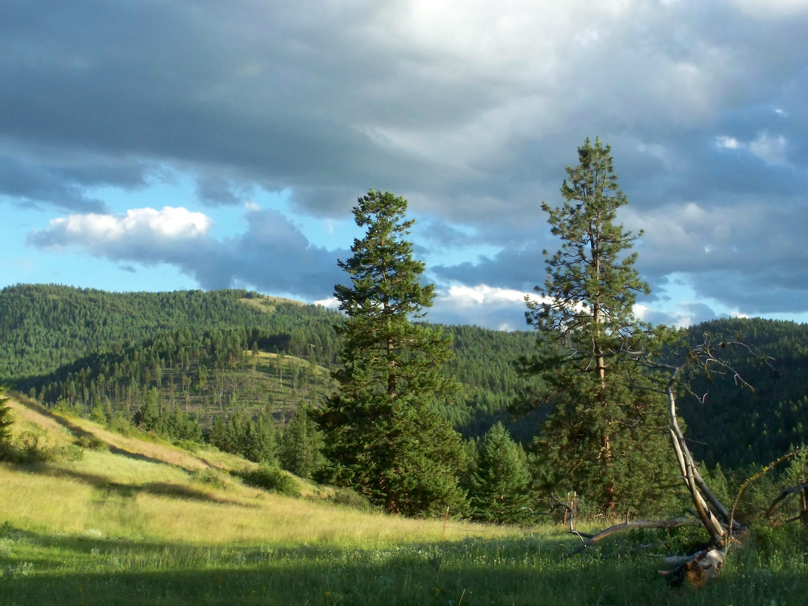 Highland Glenn Ranch