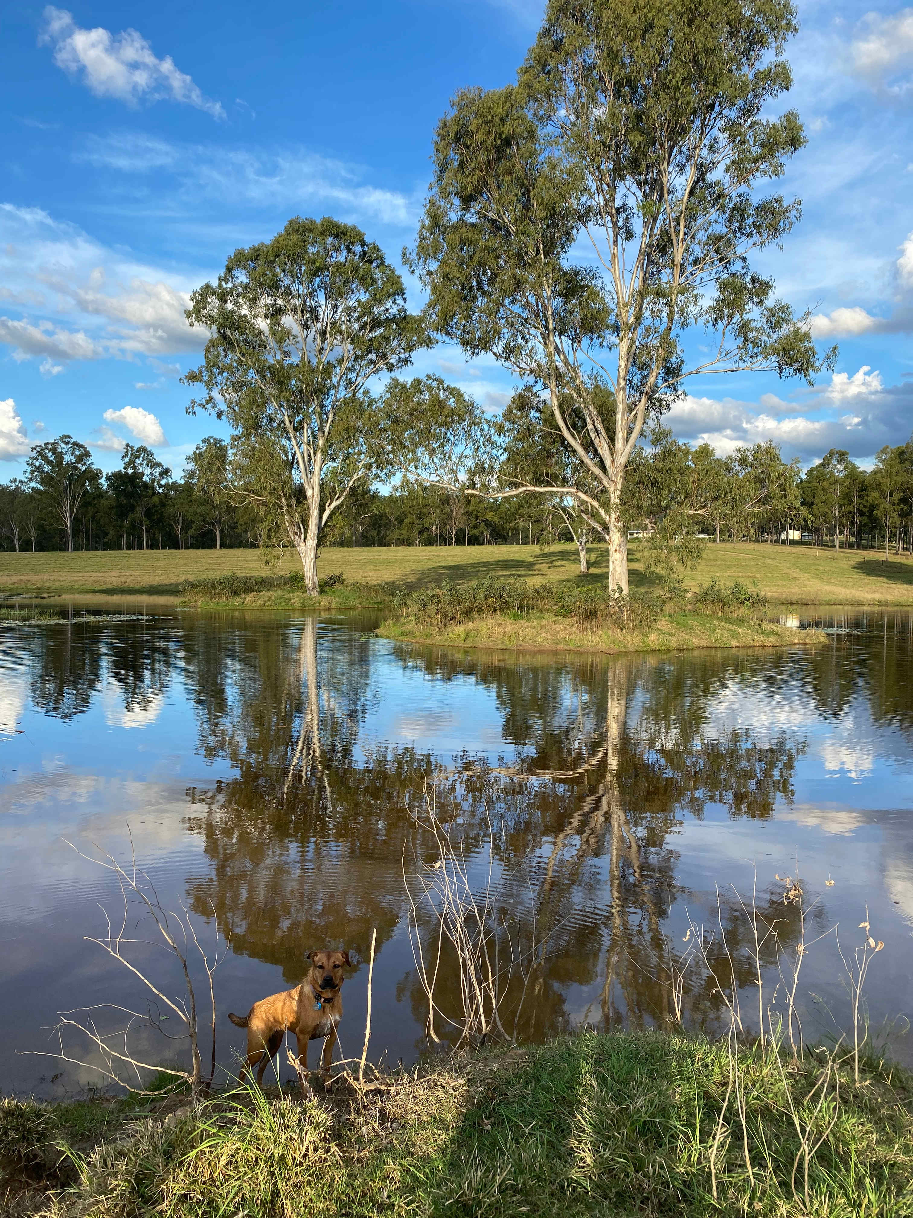 Mary River Farmstay