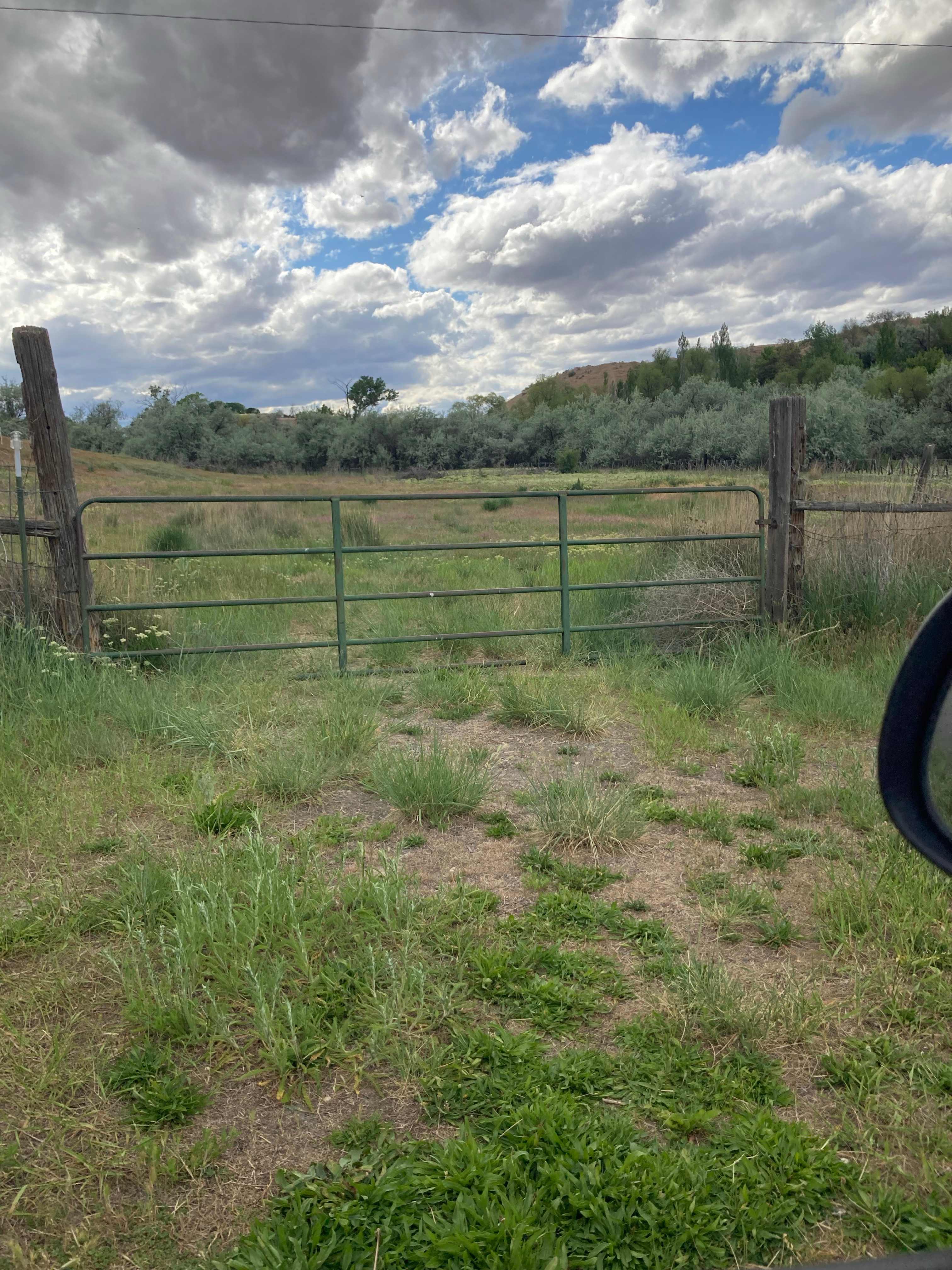 Lower field leads to camping access by the creek.
