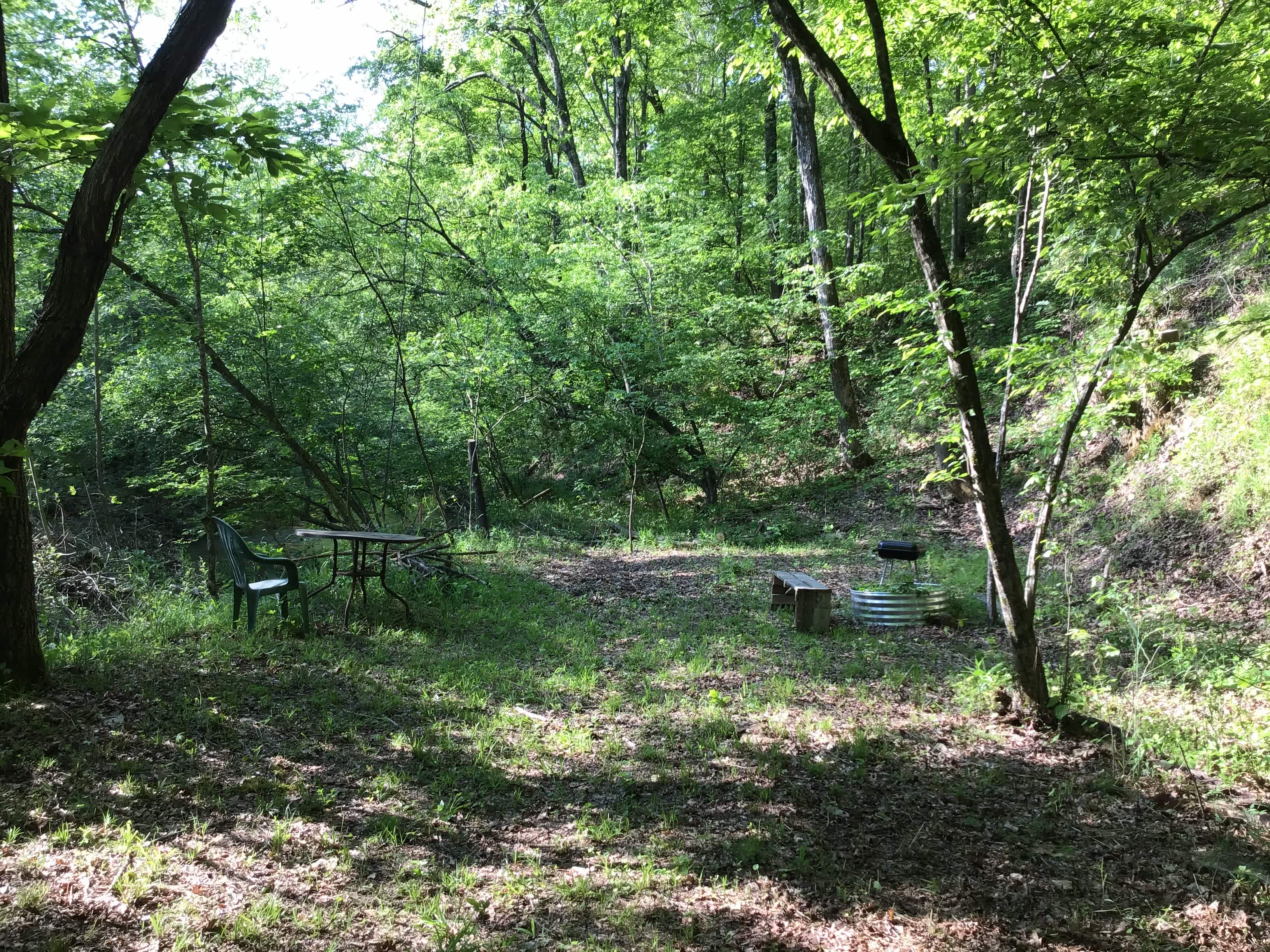 Picture of the site