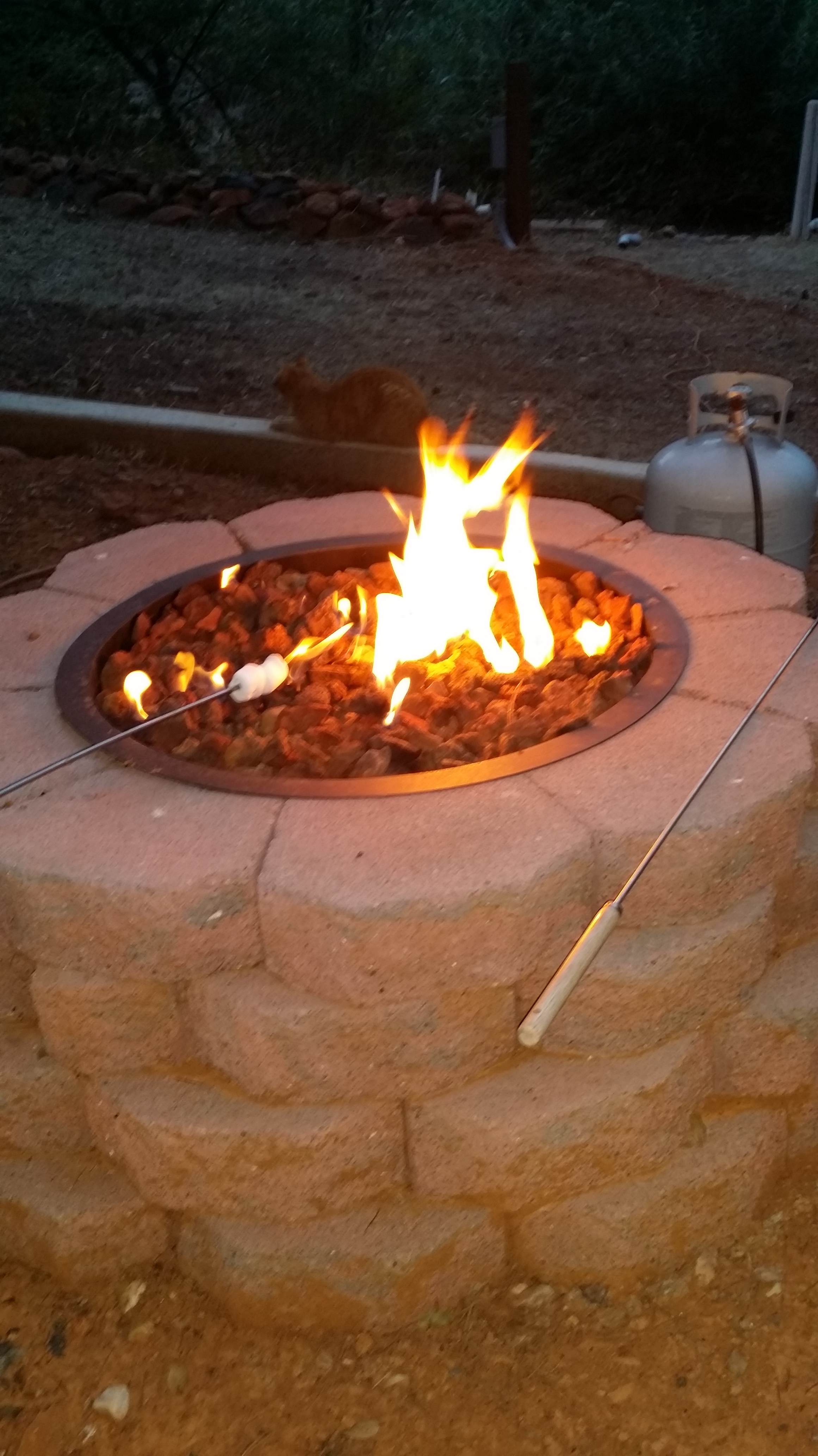Golden Briar Camp