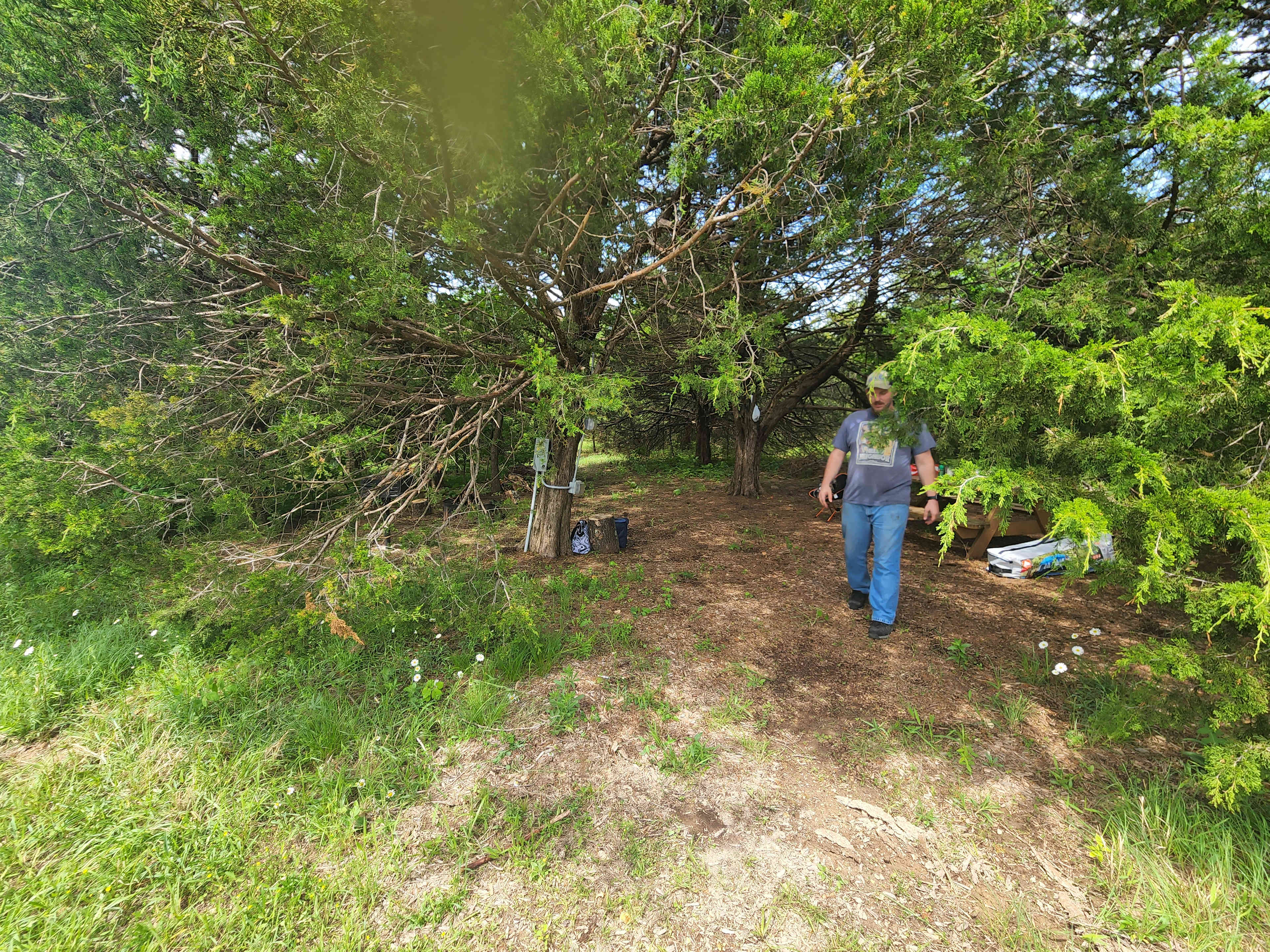 Picture of the site