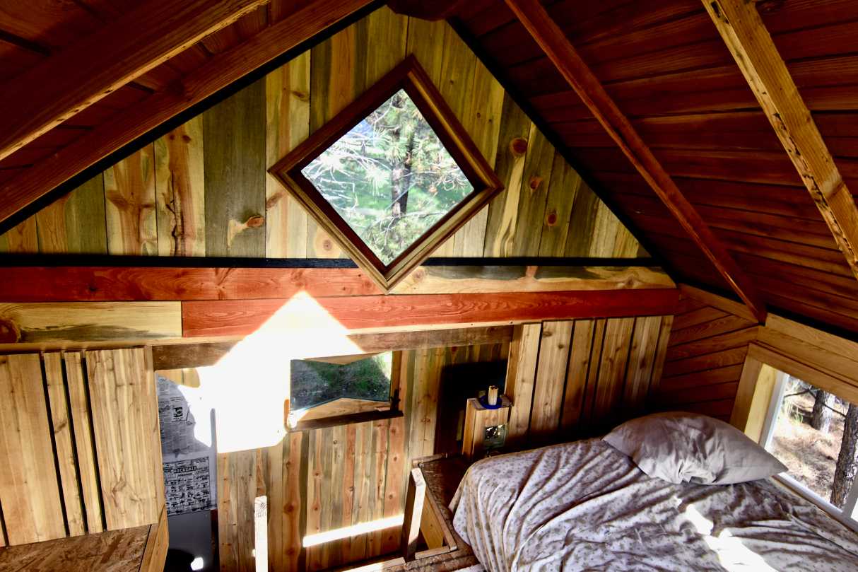 Bitterroot Cat Ranch