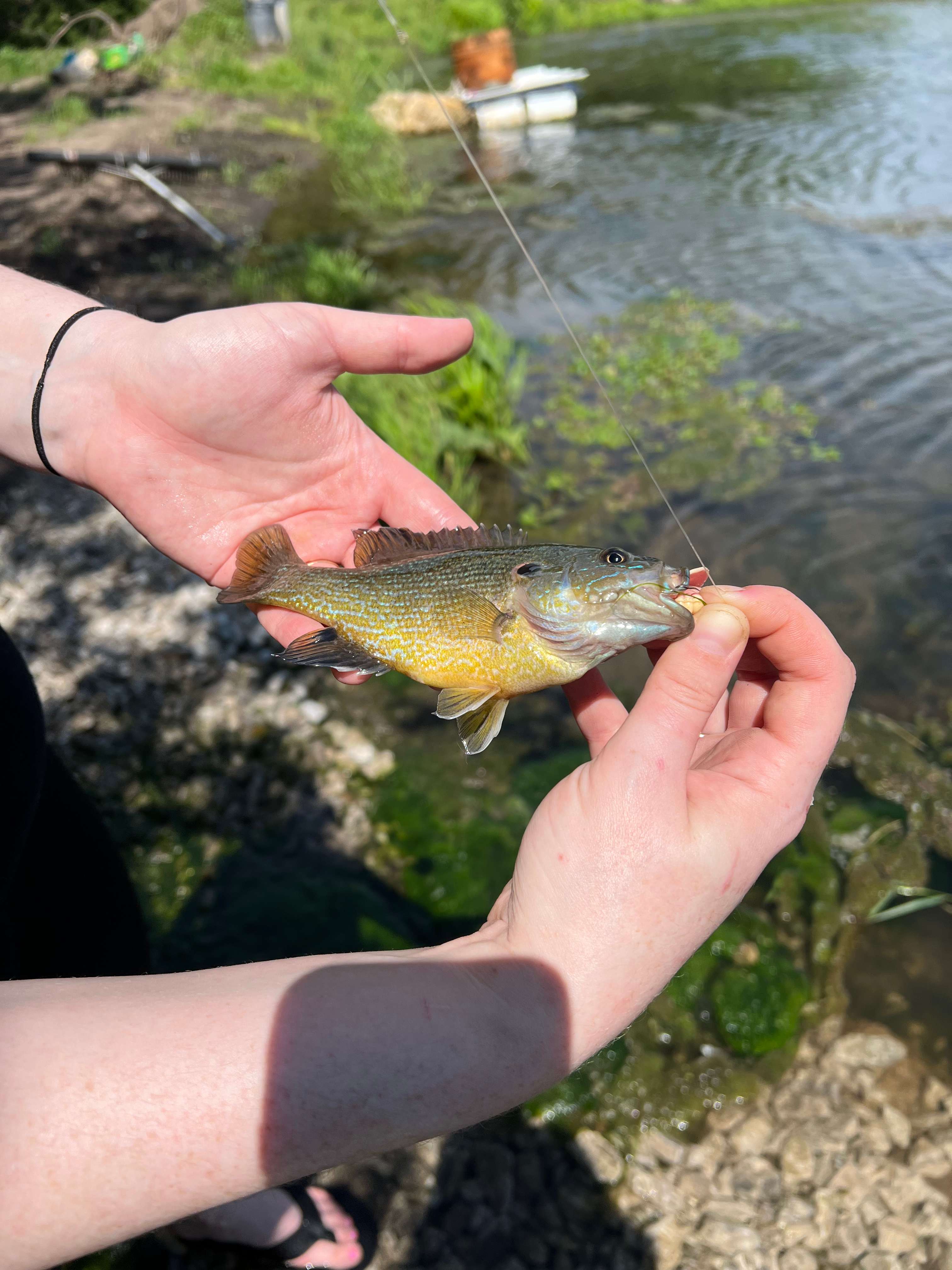 None of the fish were very big or worth eating, but it sure made for some fun times!