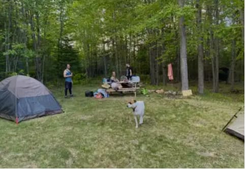 Picture of the site