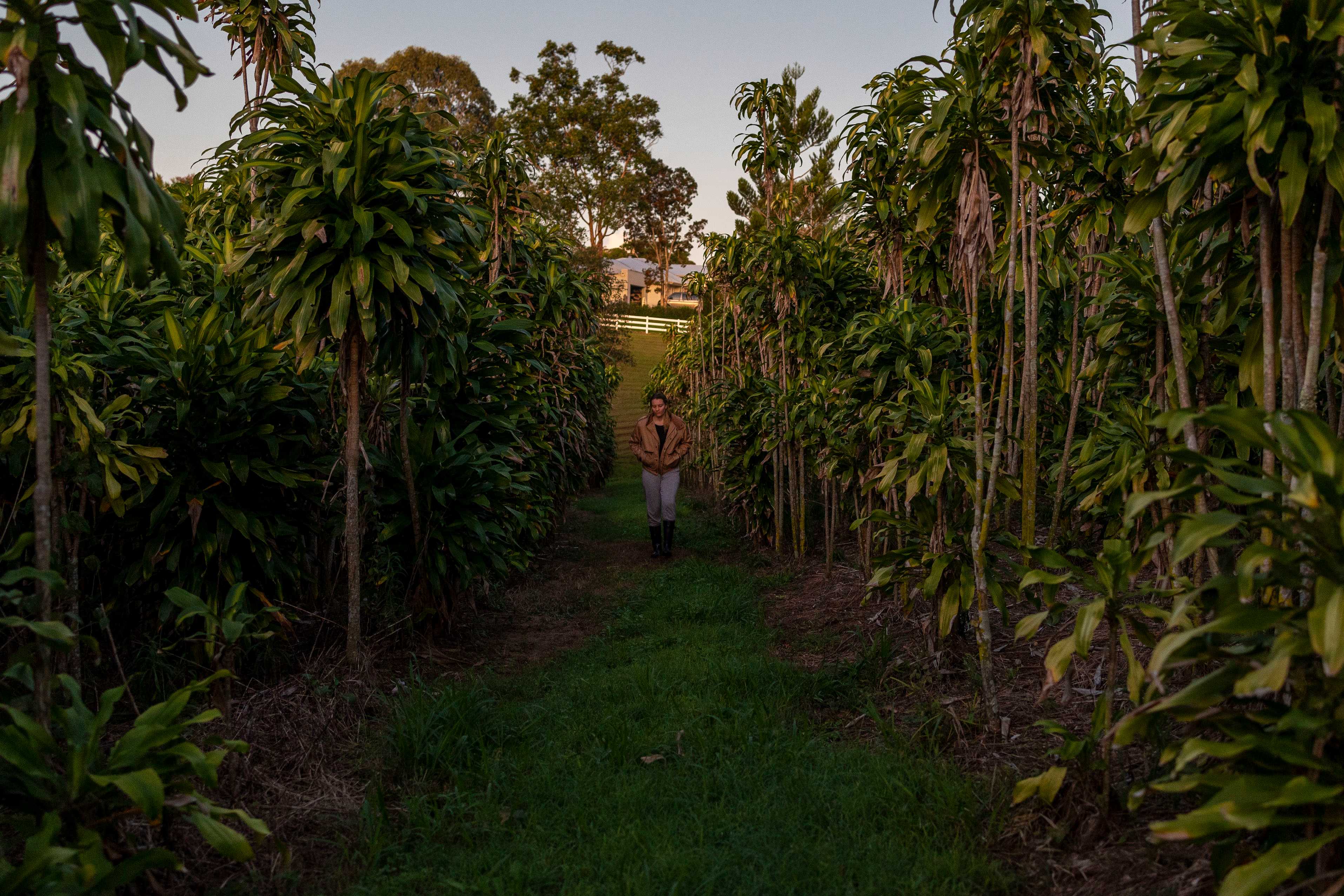 Walks around the property
