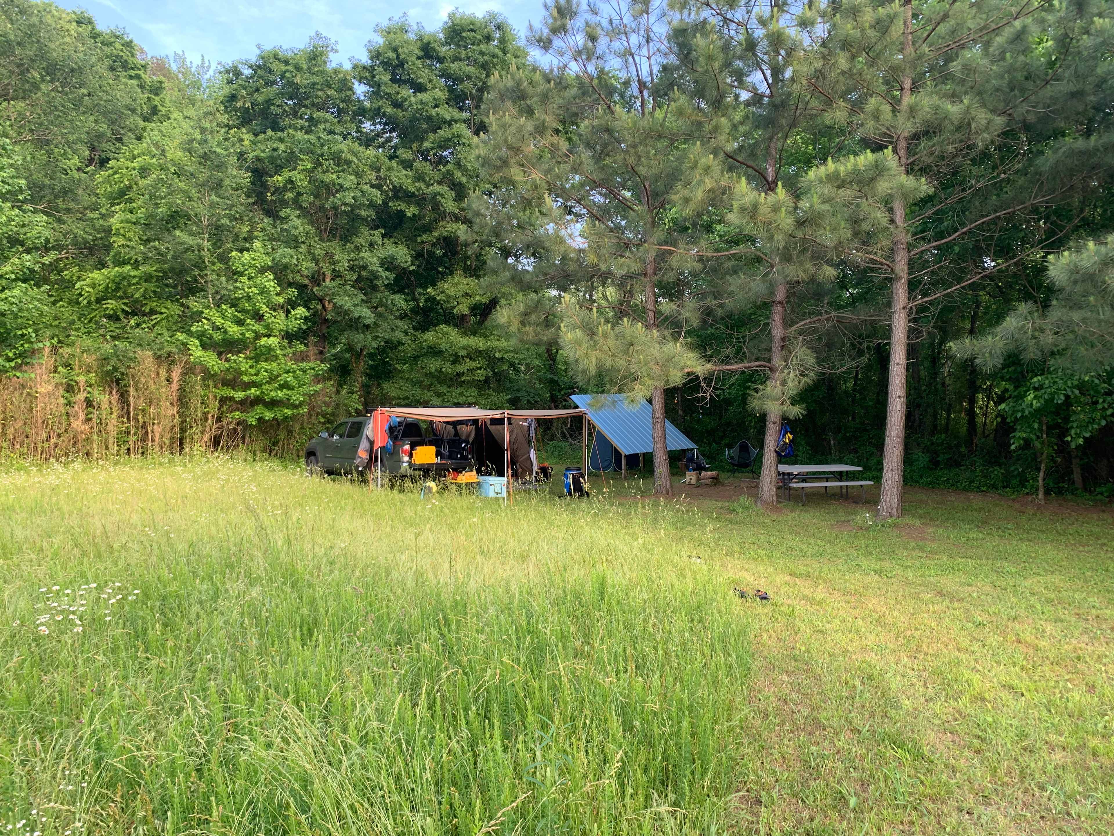 Picture of the site