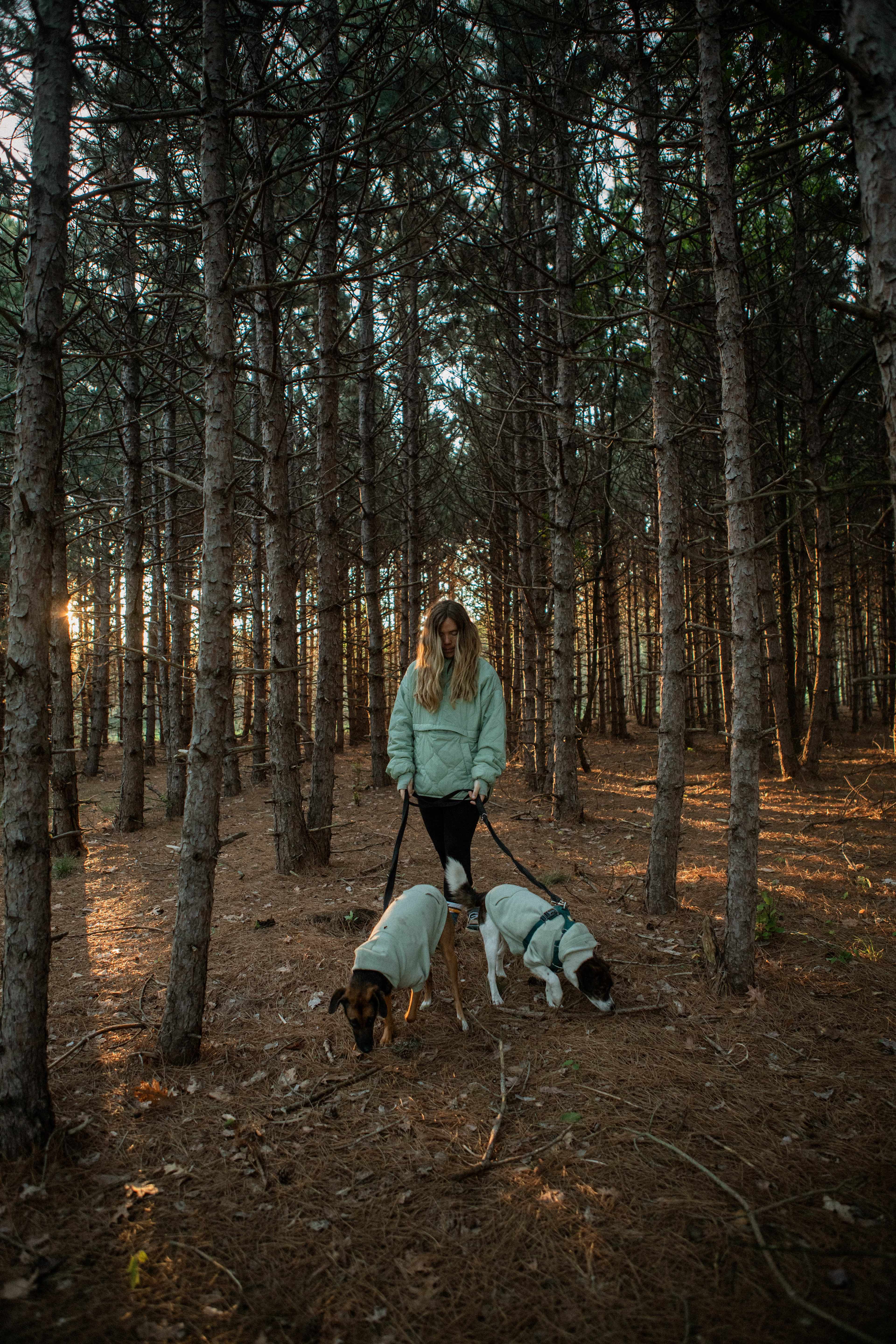 There is a beautiful line of trees that we loved walking through! The sun shines through it beautifully in the morning.