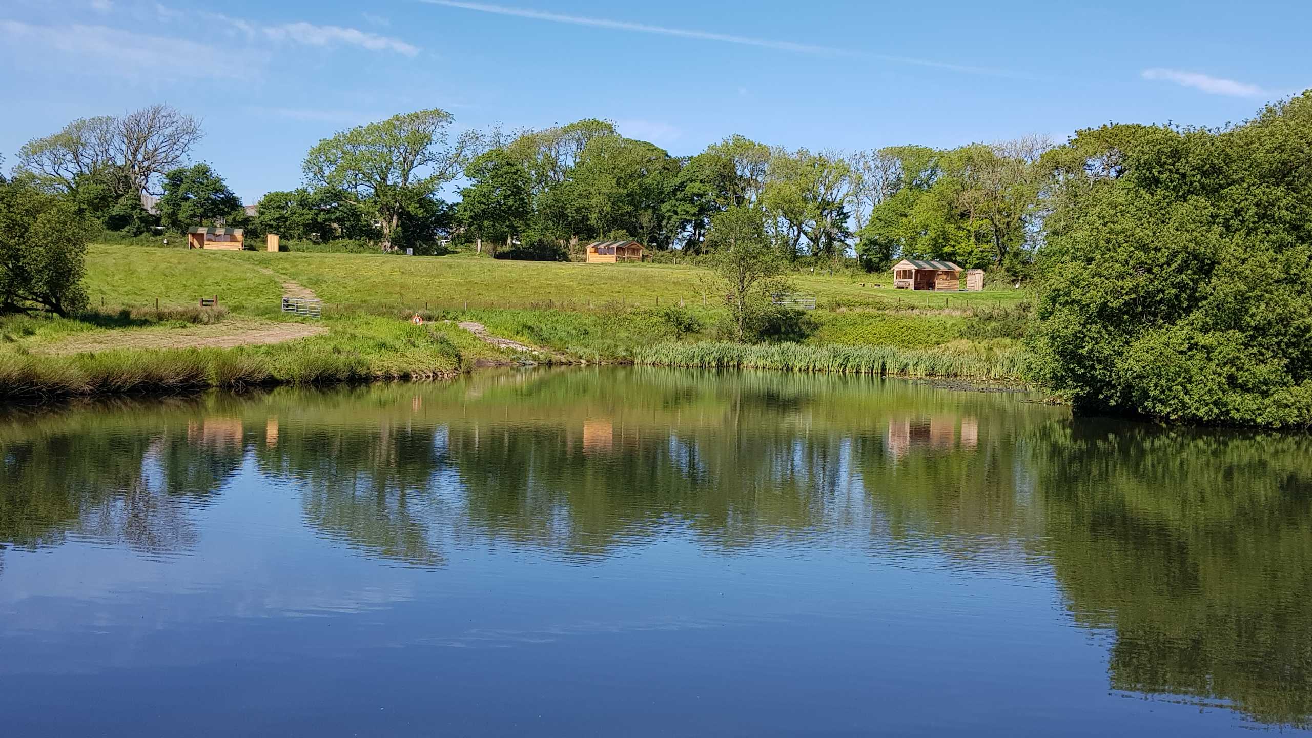 Upper Scolton Camping