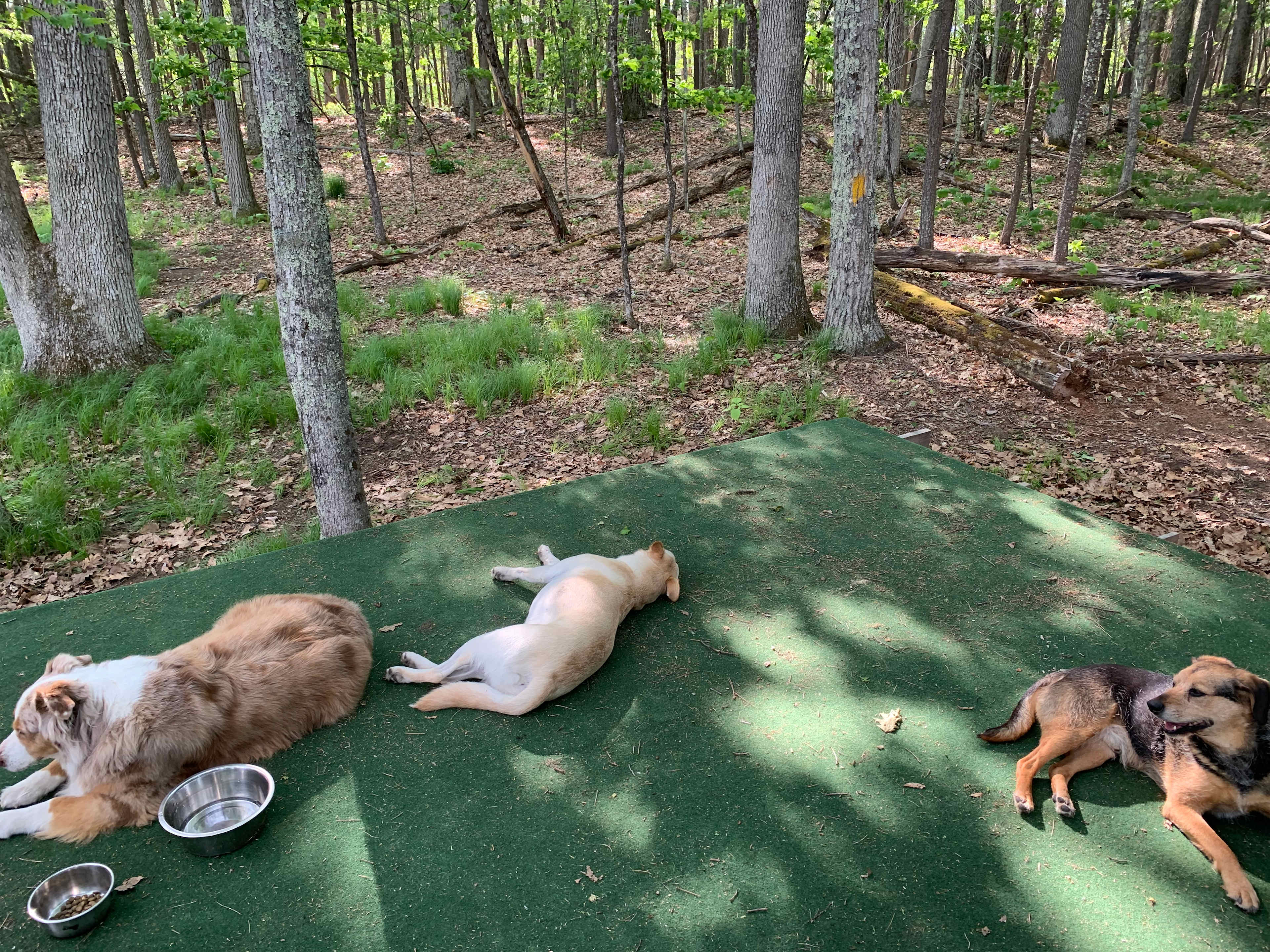 Resting after a short climb