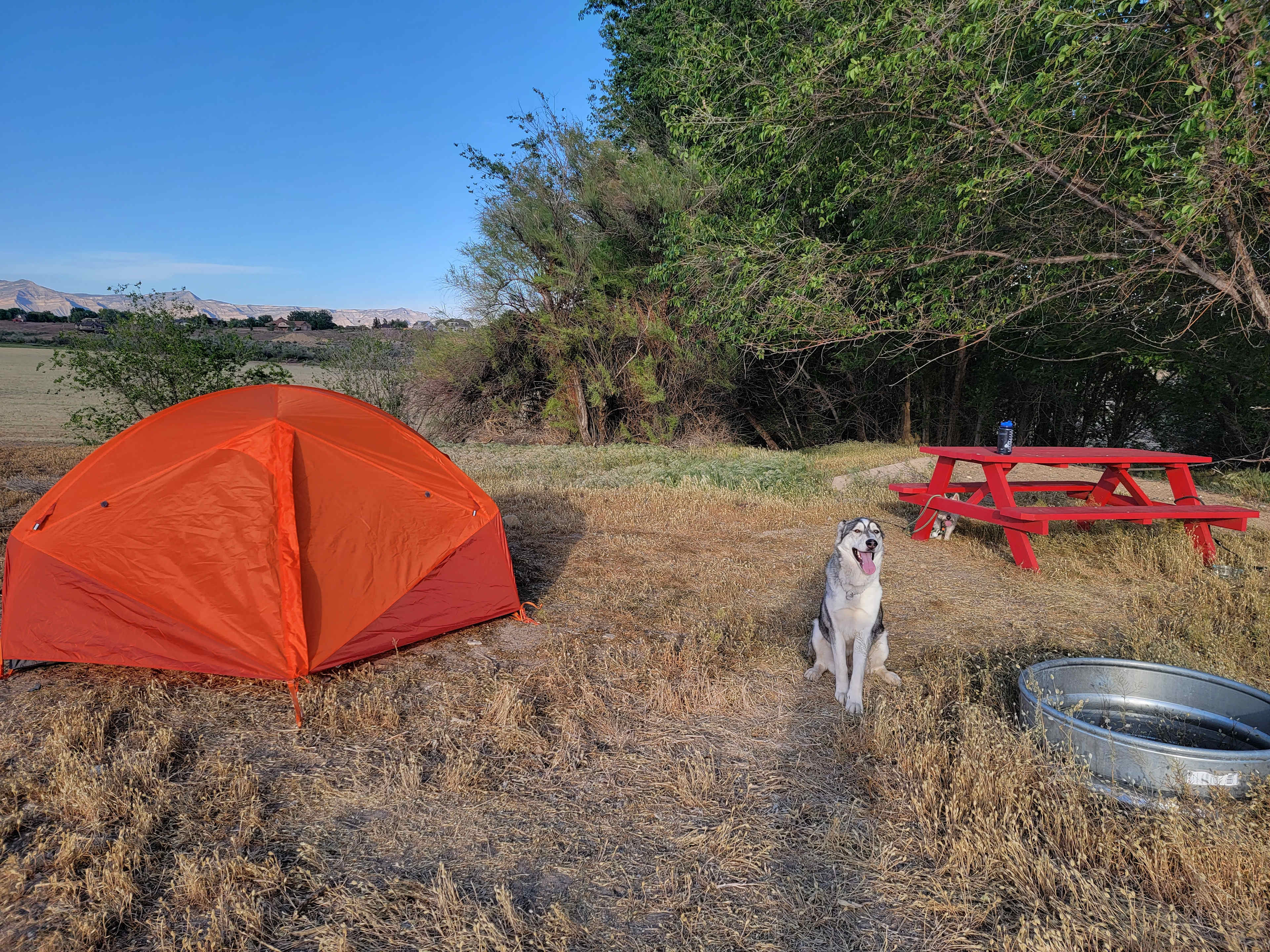Desert camping views and wildlife