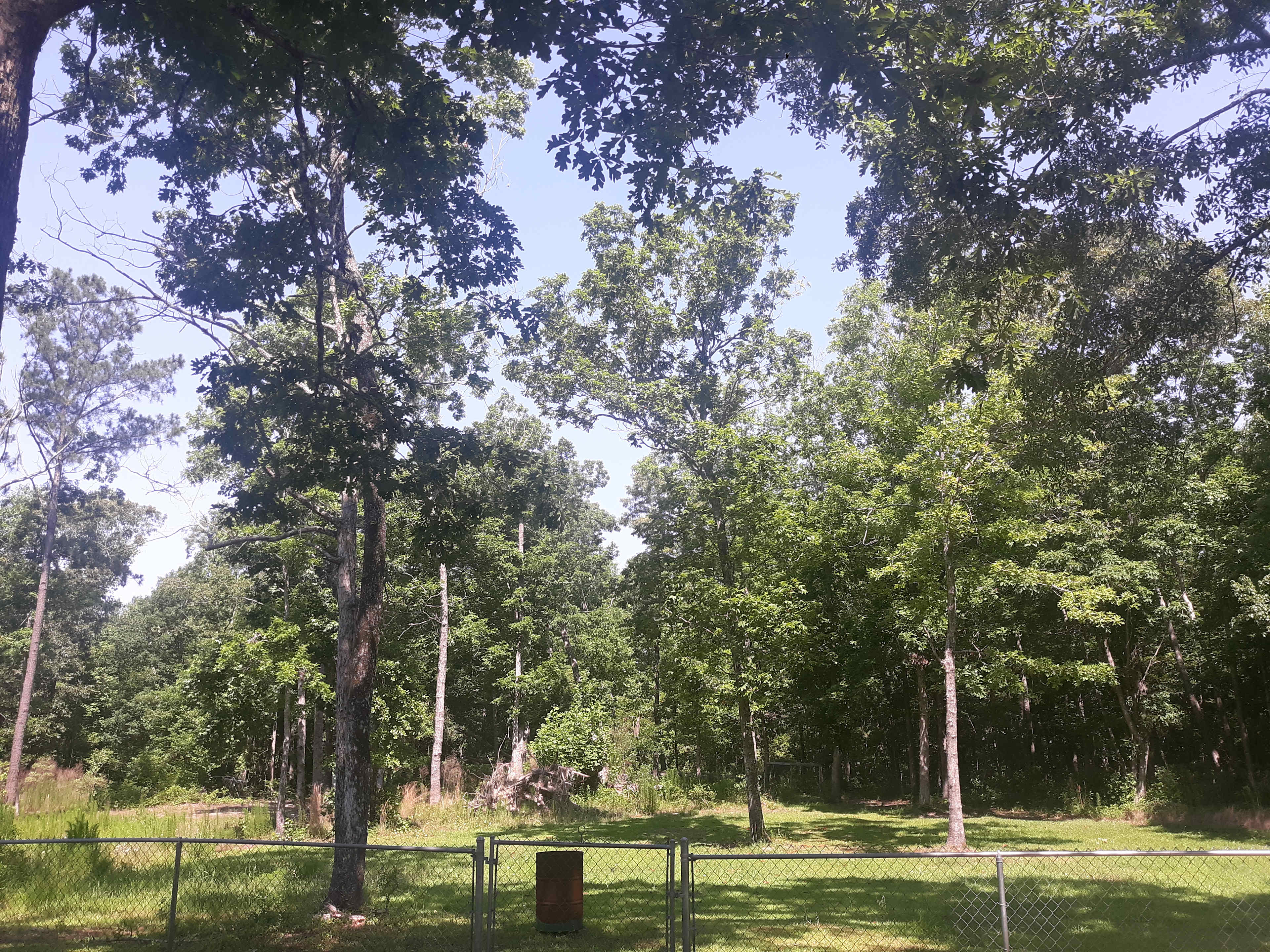 Picture of the site