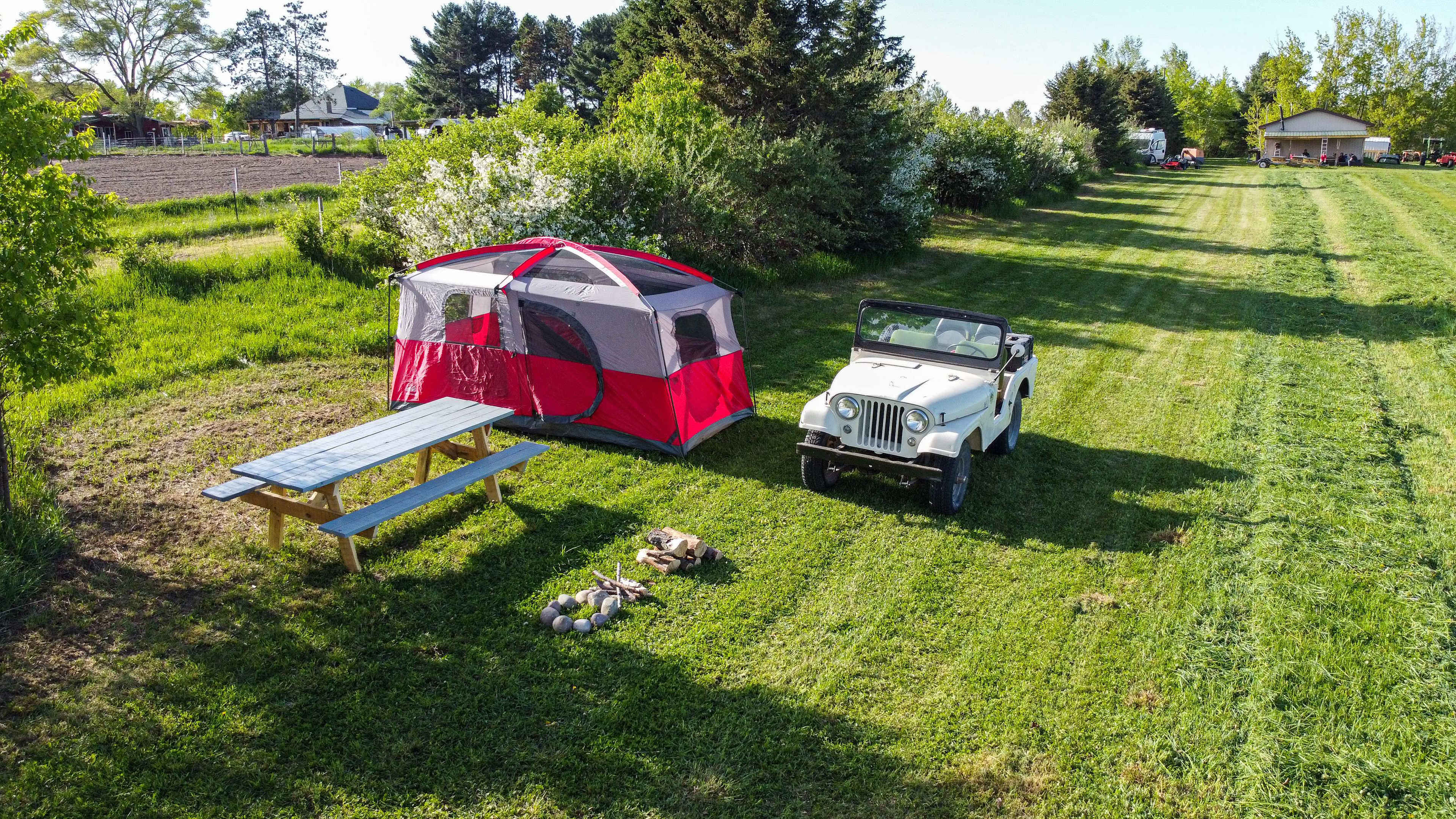 Tables and campfire rings are at each campsite. The campsites are tucked into the tree line for privacy.