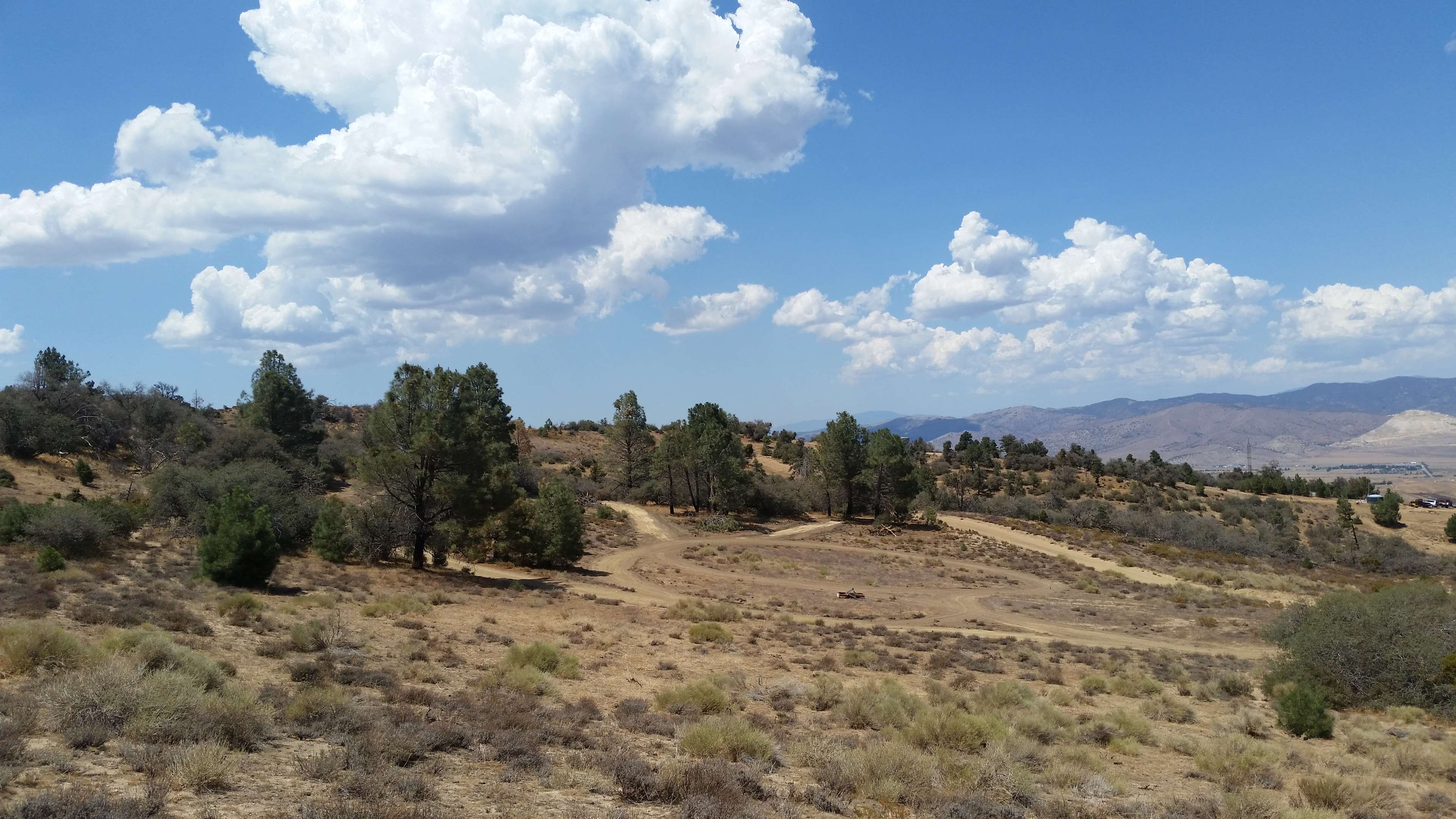 Wild Horse Ranch