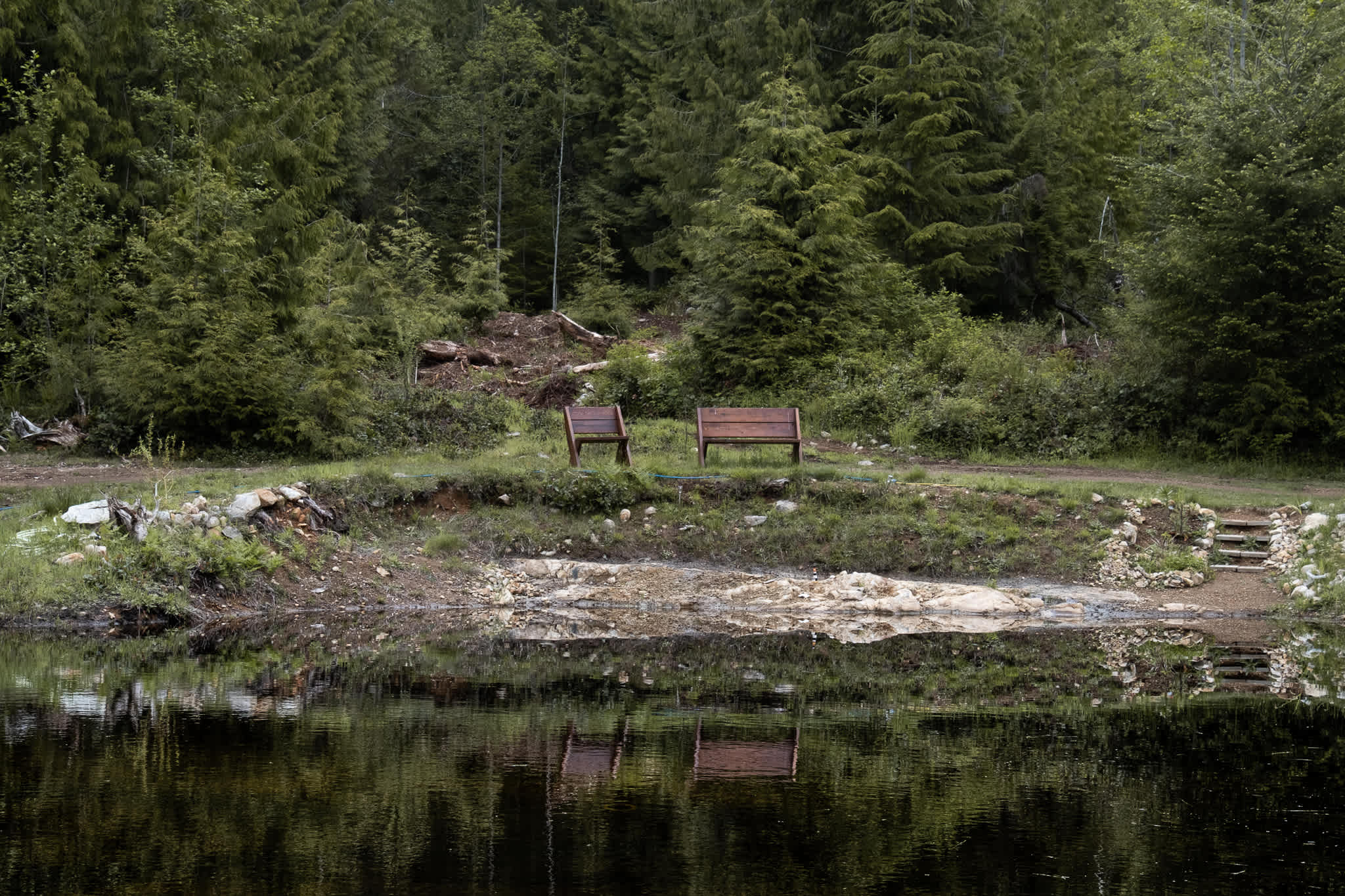 Picture of the site