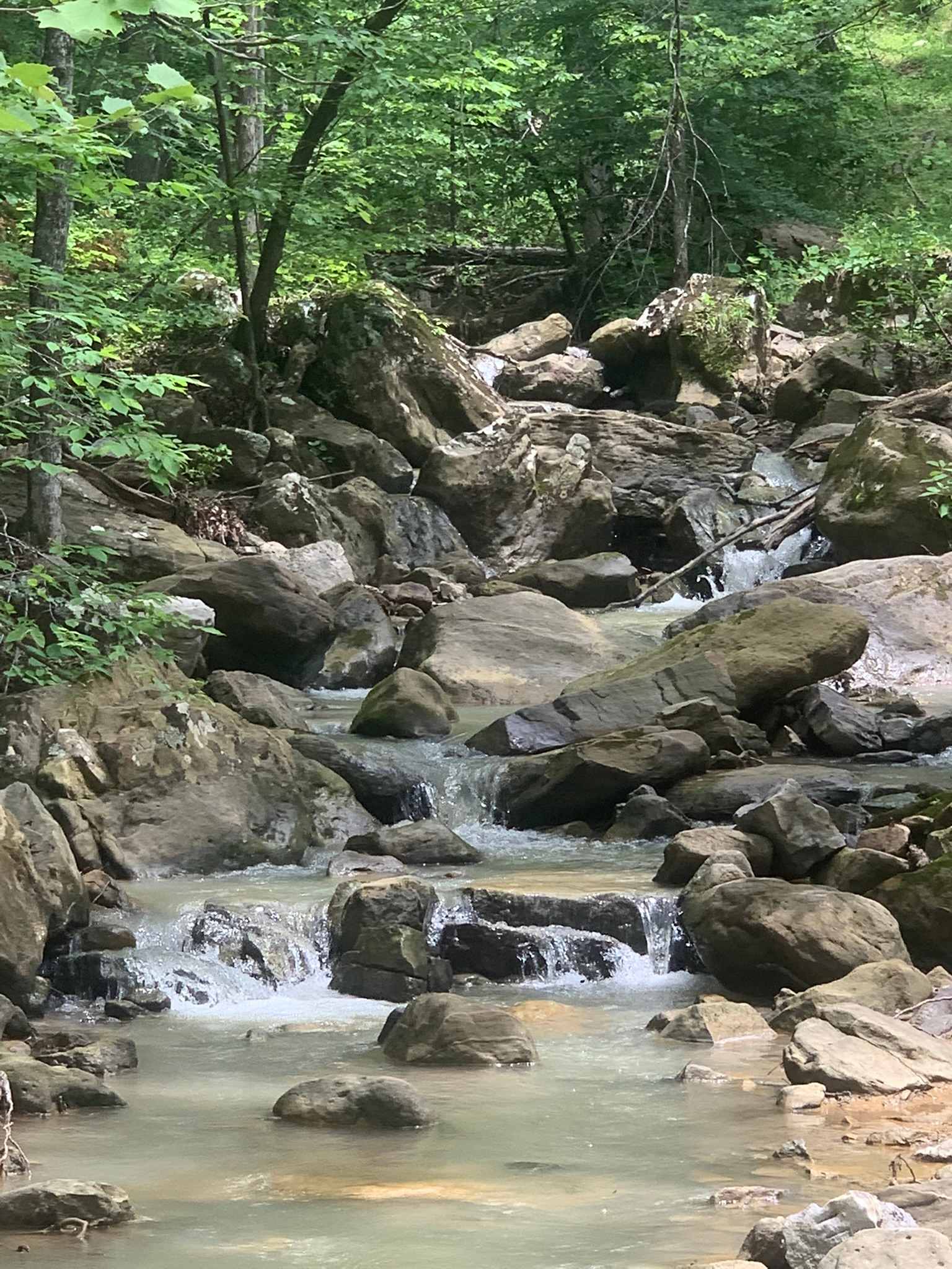 Enchanted Ozark Fairytale Camp