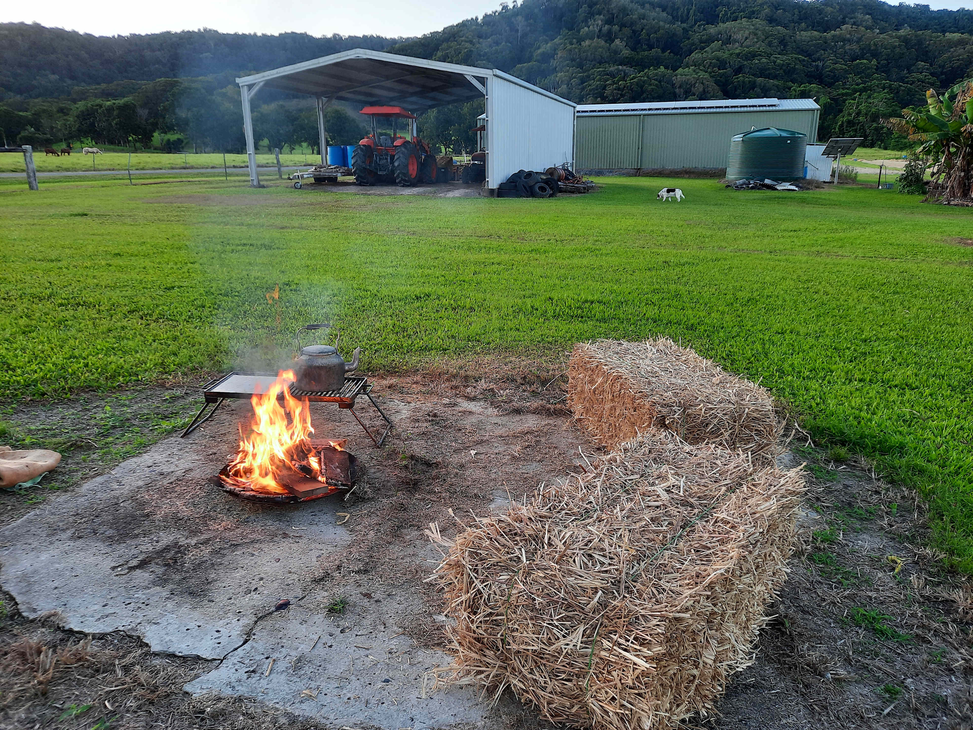 Kingston Road Farm Stay