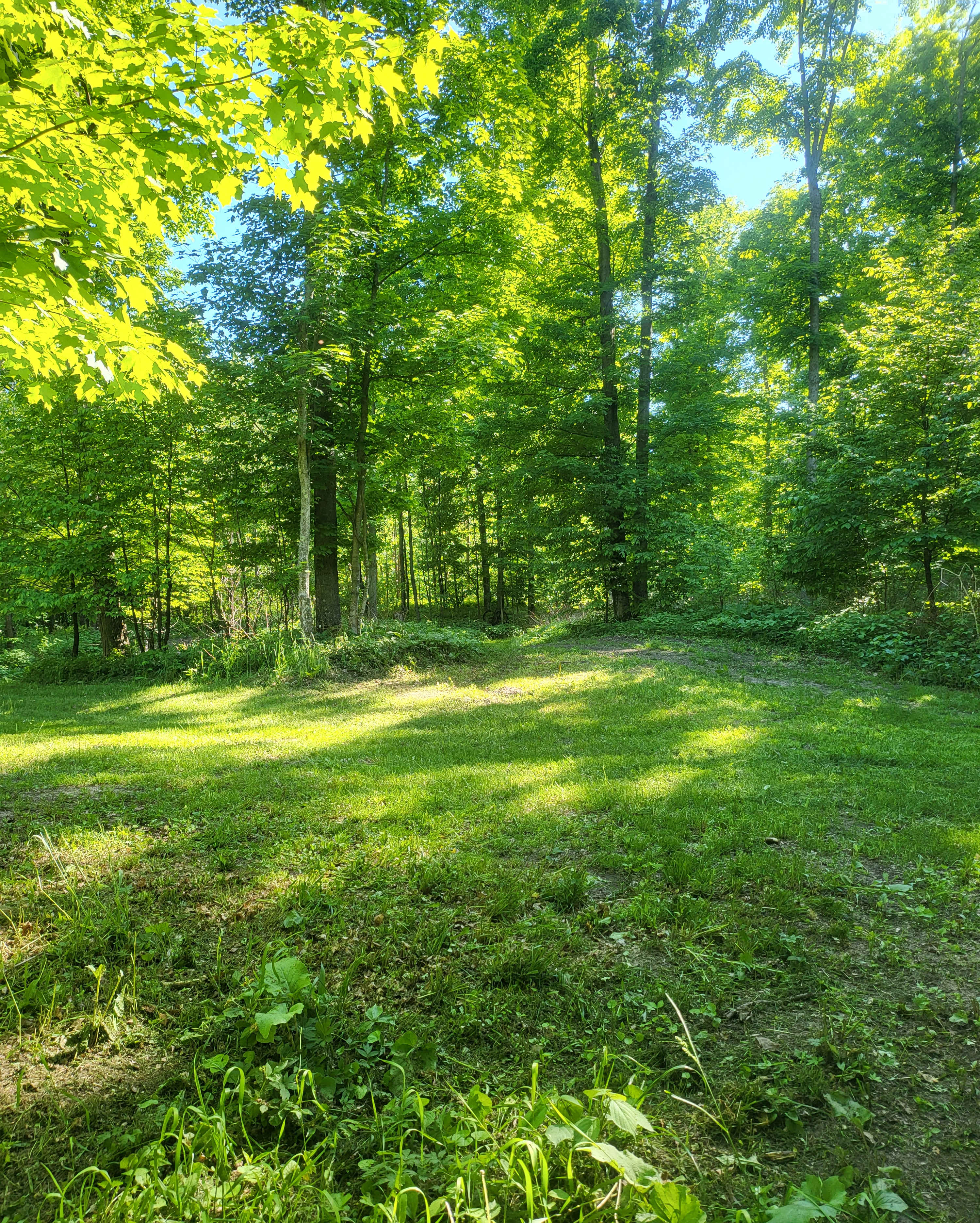 Maple Valley Farm