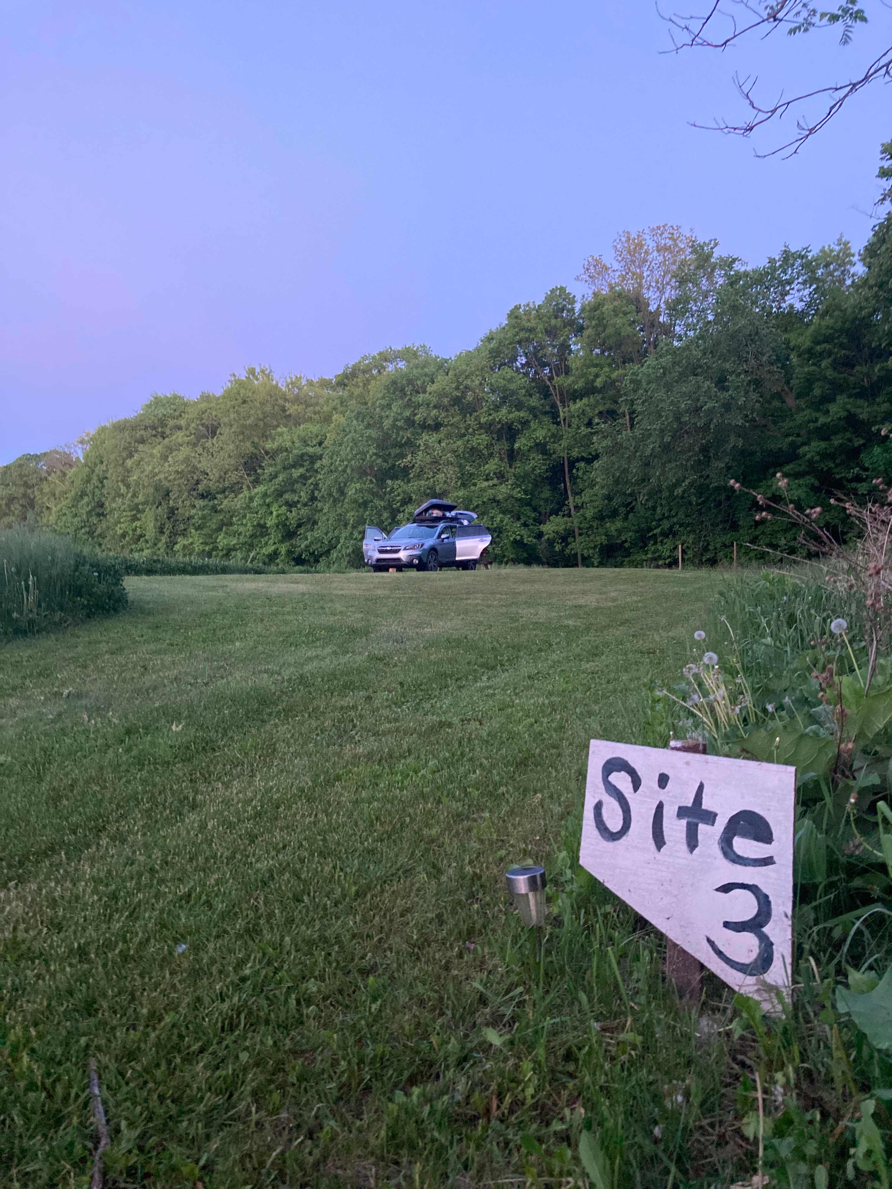 Picture of the site